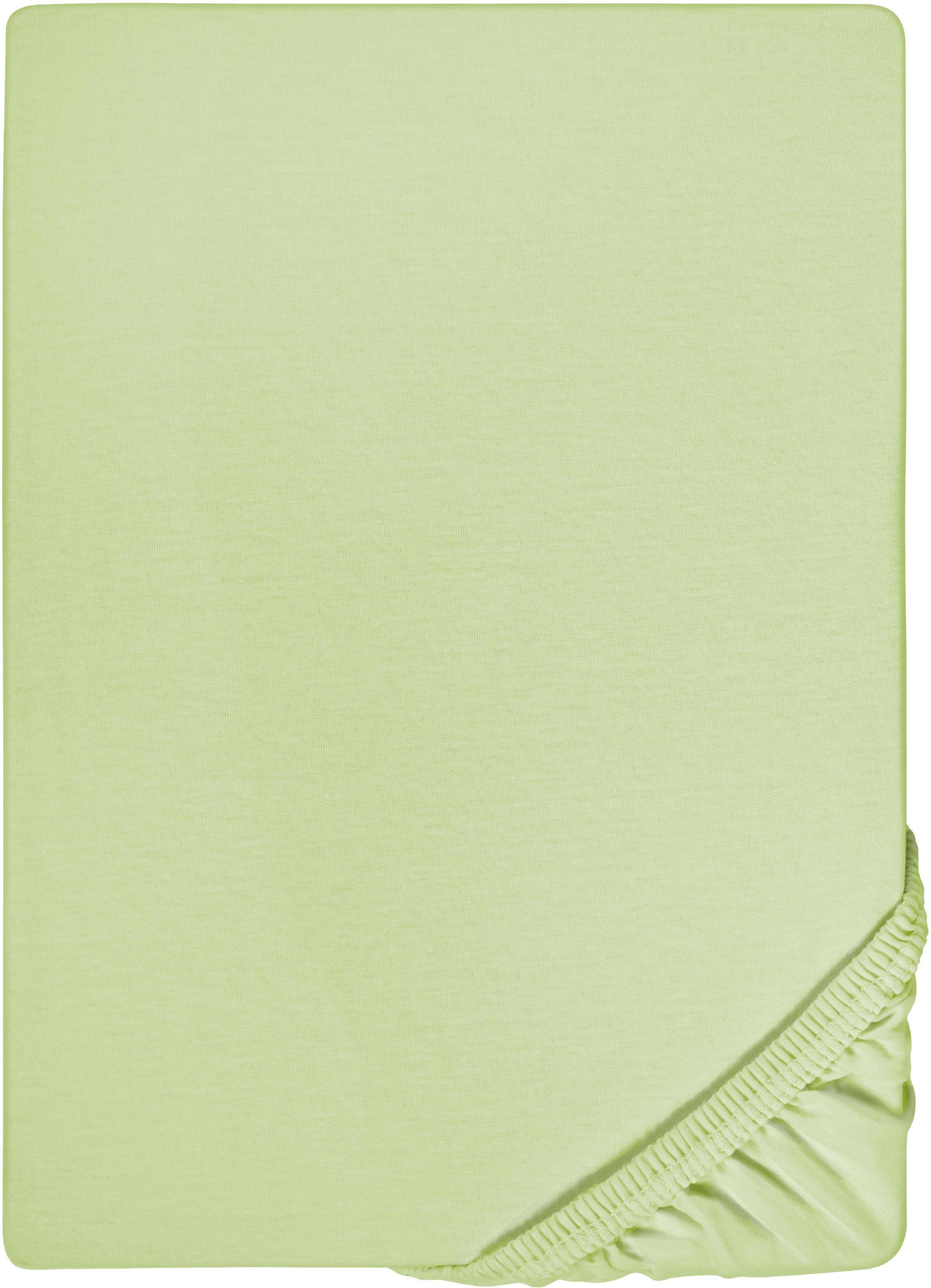 Biberna Spannbettlaken Marc, Jersey, Gummizug: rundum, (1 Stück), aus Baumw günstig online kaufen