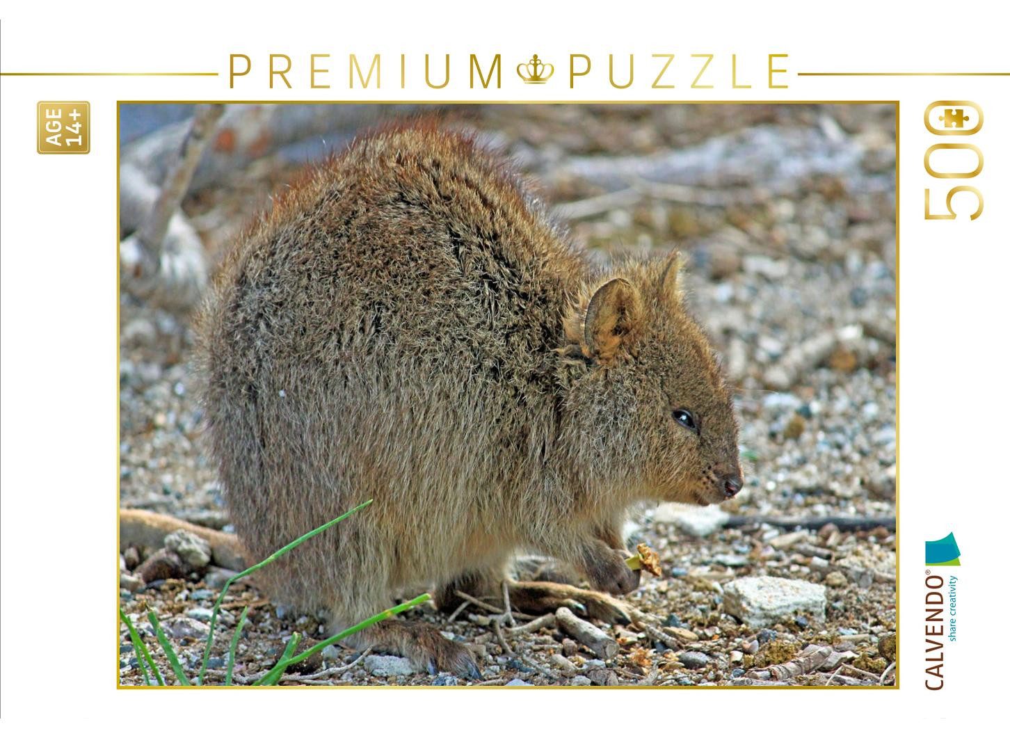 CALVENDO Puzzle CALVENDO Puzzle Quokka, 500 Teile Lege-Größe 48 × 36 cm Foto-Puzzle f, 1000 Puzzleteile