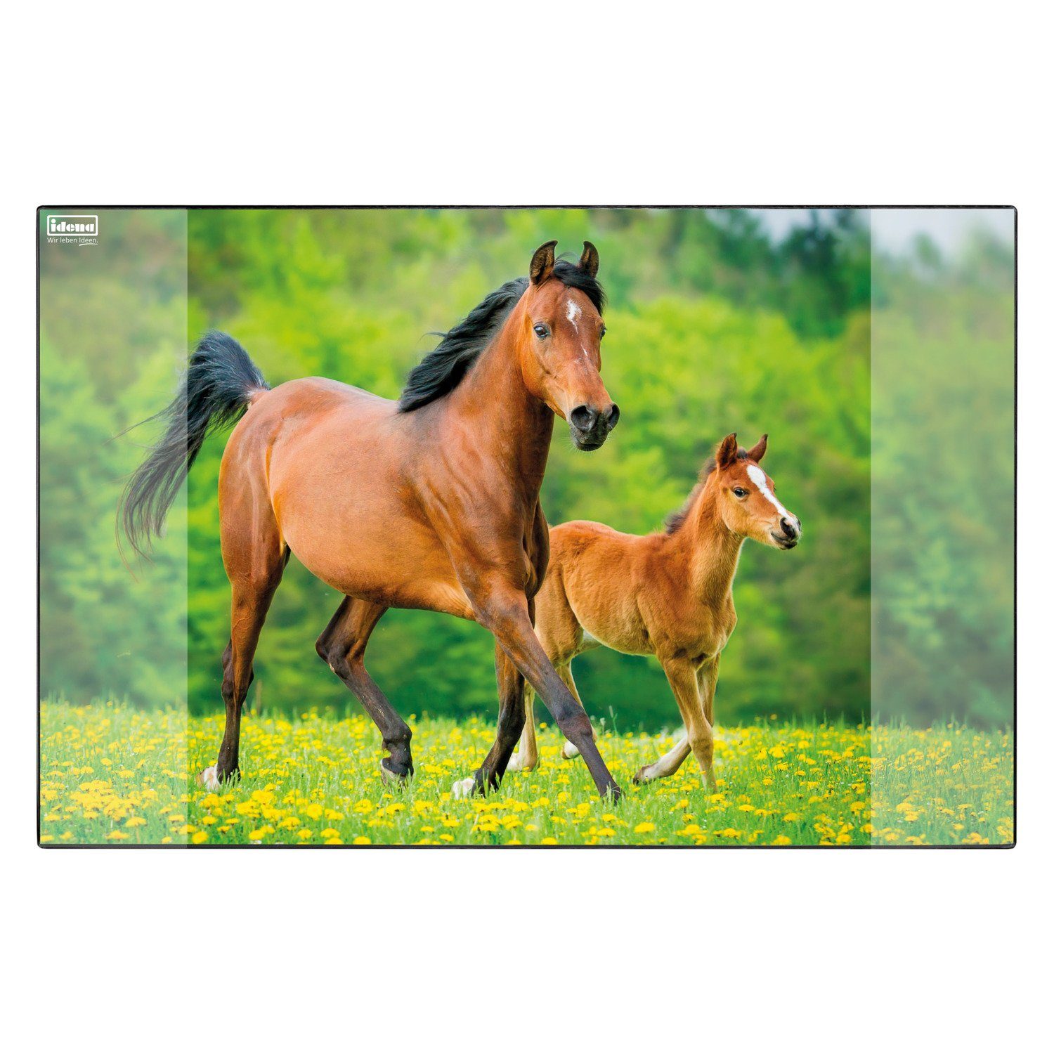 Idena Schreibtischunterlage Idena Schreibunterlage PP 58,5x38,5cm Pferd