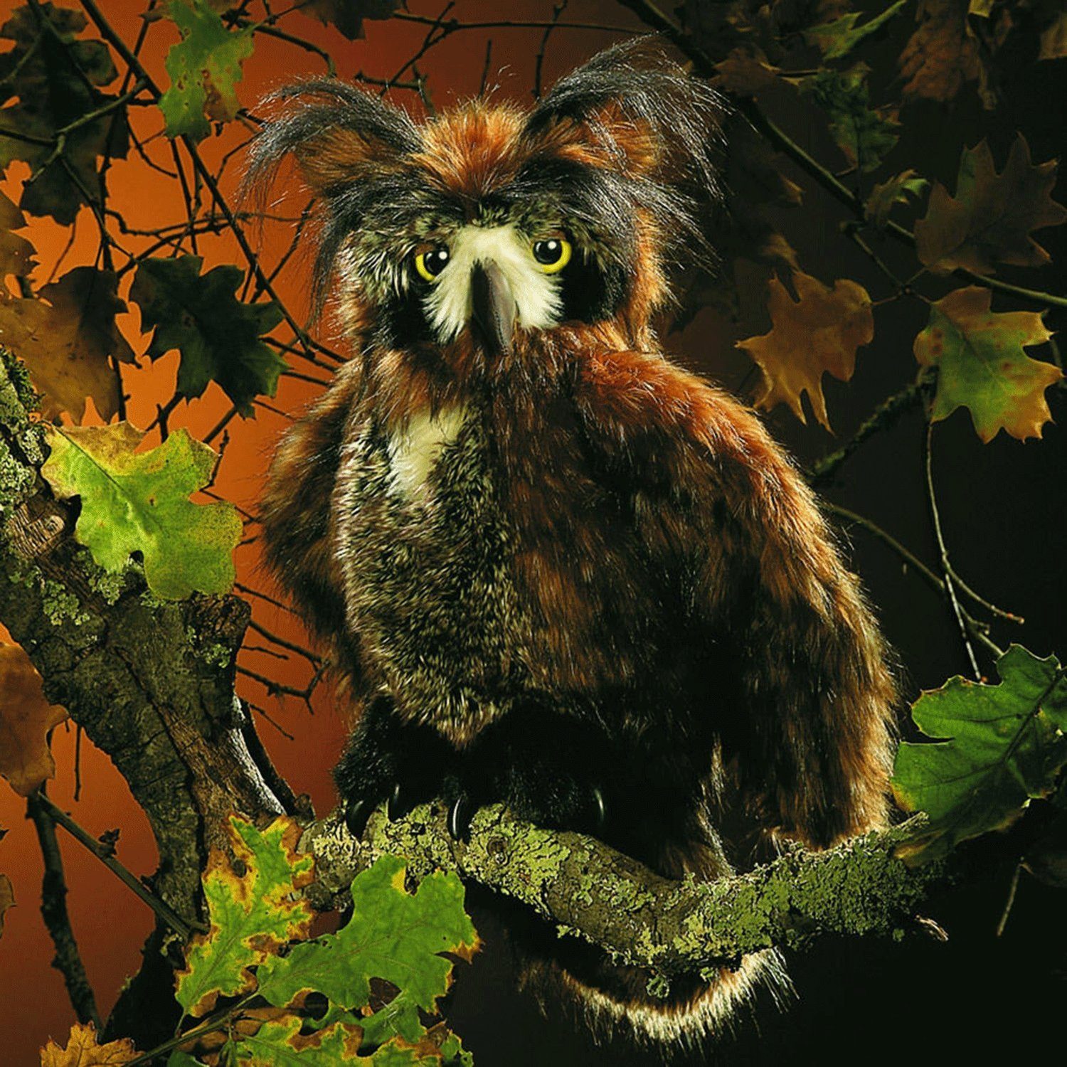 Folkmanis Handpuppen Handpuppe Folkmanis Handpuppe Vogel, Eule mit beweglic günstig online kaufen