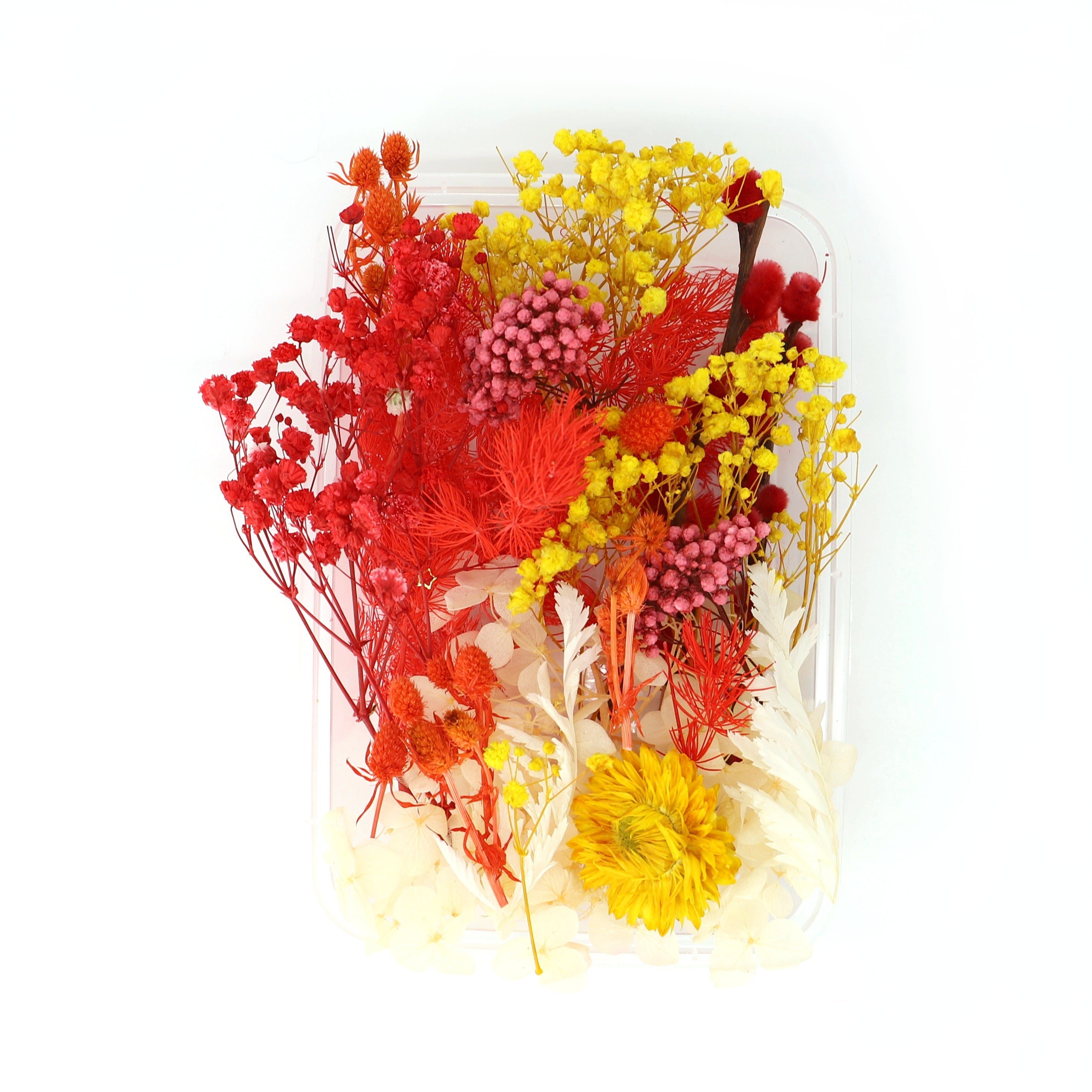 Trockenblume Farblich sortierte Box mit getrockneten Blumen - Rot, Kunstharz.Art
