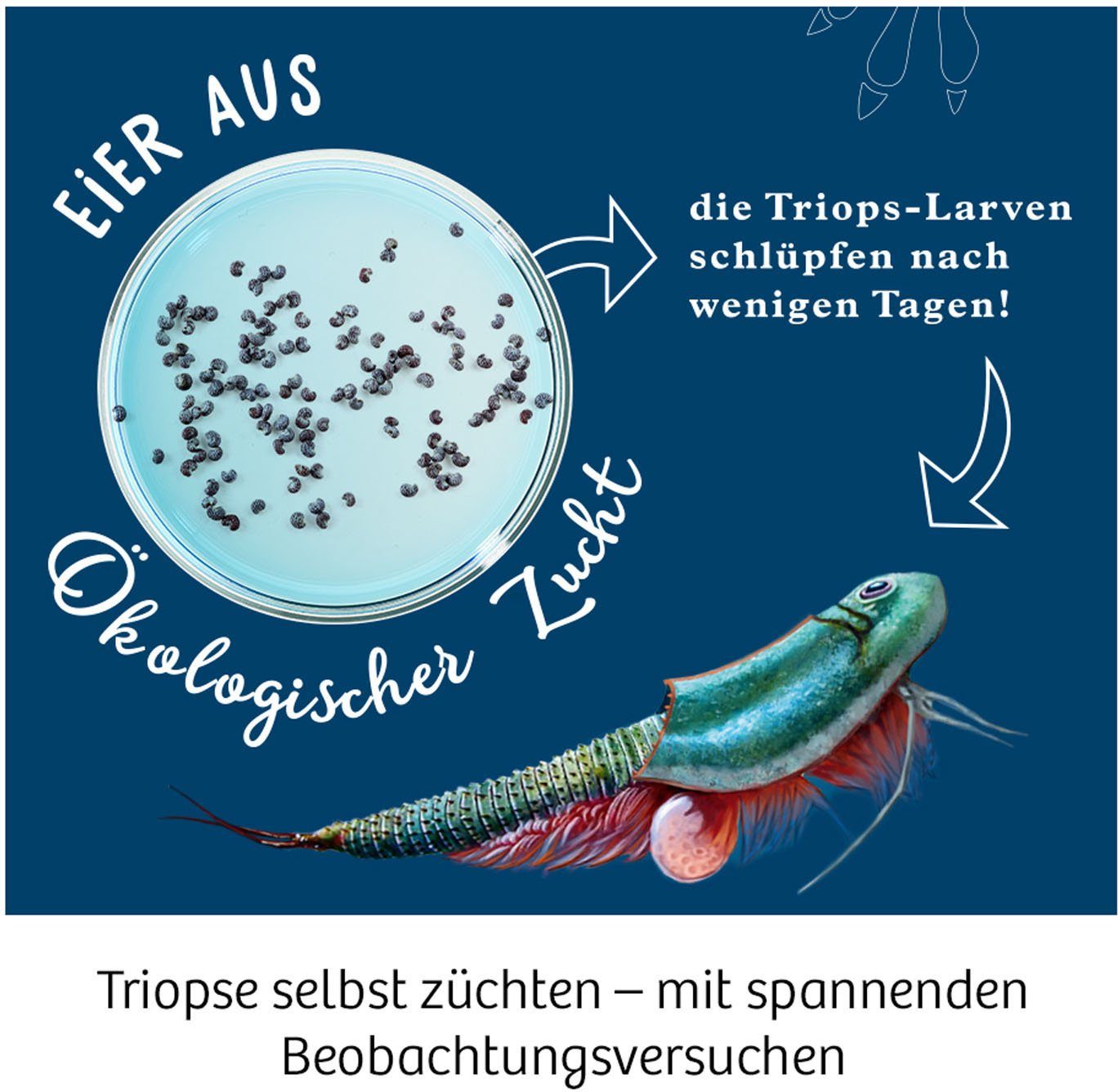 Kosmos Triops-Welt, Experimentierkasten in Made Germany