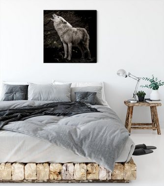 Pixxprint Leinwandbild Weißer heulender Wolf im Wald, Weißer heulender Wolf im Wald (1 St), Leinwandbild fertig bespannt, inkl. Zackenaufhänger