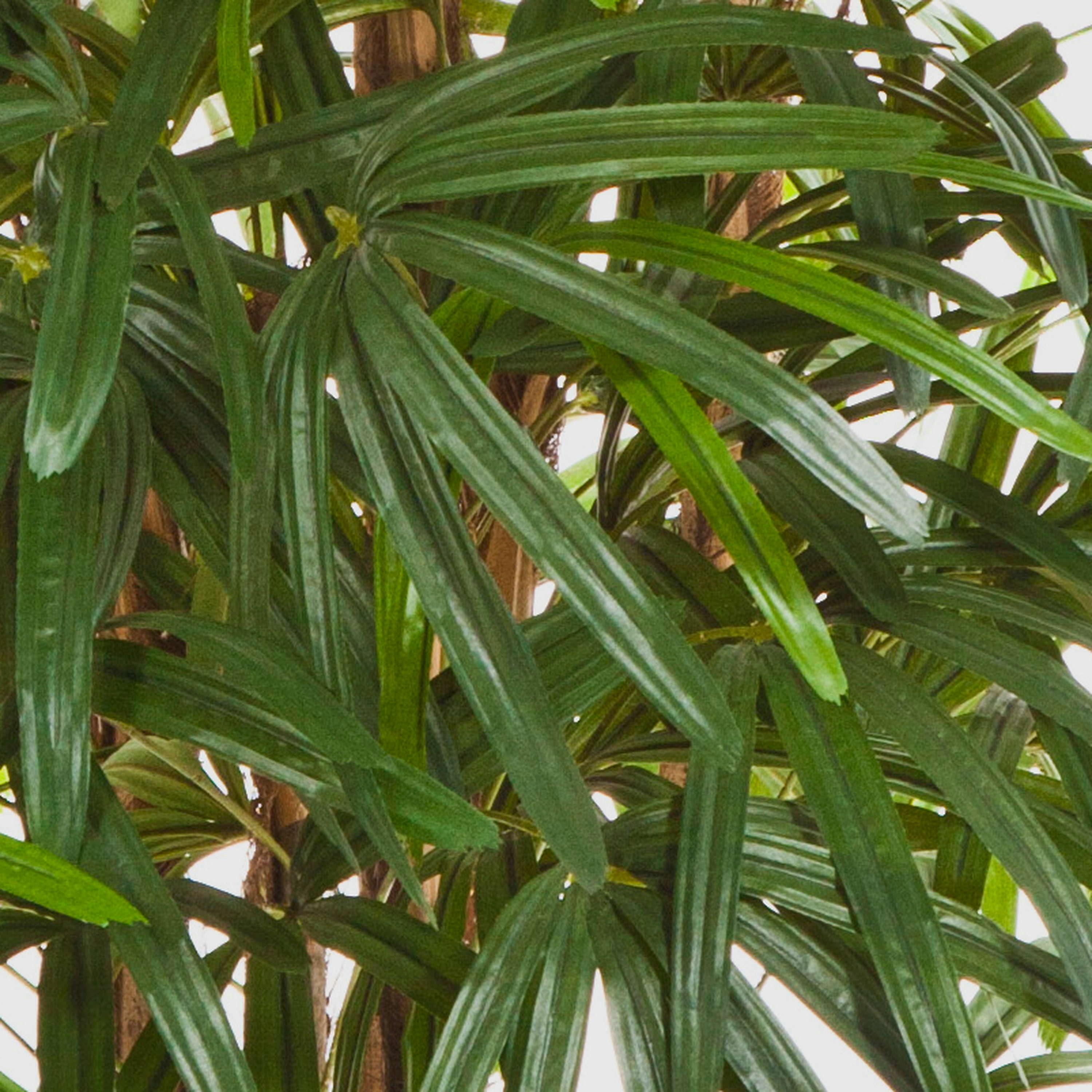 Kunstpalme Künstliche Steckenpalme, 789 Blätter, 170cm Steckenpalme, artplants, Höhe 170.0 cm