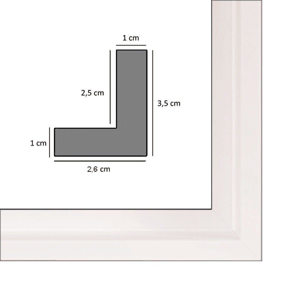 myposterframe Einzelrahmen Mira Schattenfugen Rahmen Leerrahmen für Leinwand, (1 Stück), 20x20 cm, Weiß matt, Echtholz