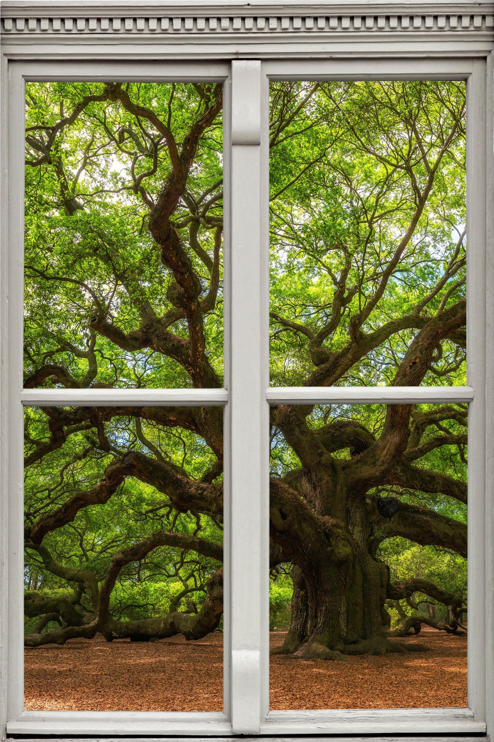 queence Wandsticker Baum, Wandsticker, Wandbild, selbstklebend, 3D, Fenster