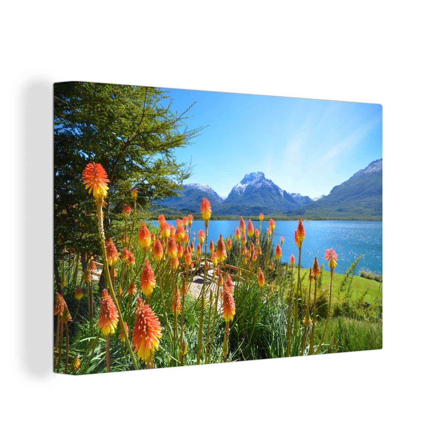 OneMillionCanvasses® Leinwandbild Blumen vor dem Mascardi-See im Nahuel-Huapi-Nationalpark in, (1 St), Wandbild Leinwandbilder, Aufhängefertig, Wanddeko, 30x20 cm