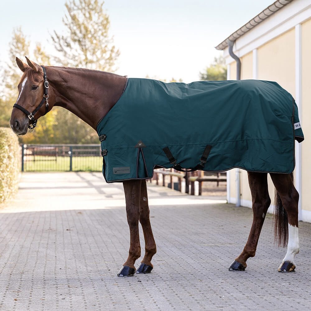 Waldhausen Pferde-Regendecke Waldhausen Outdoordecke Arctic 100g