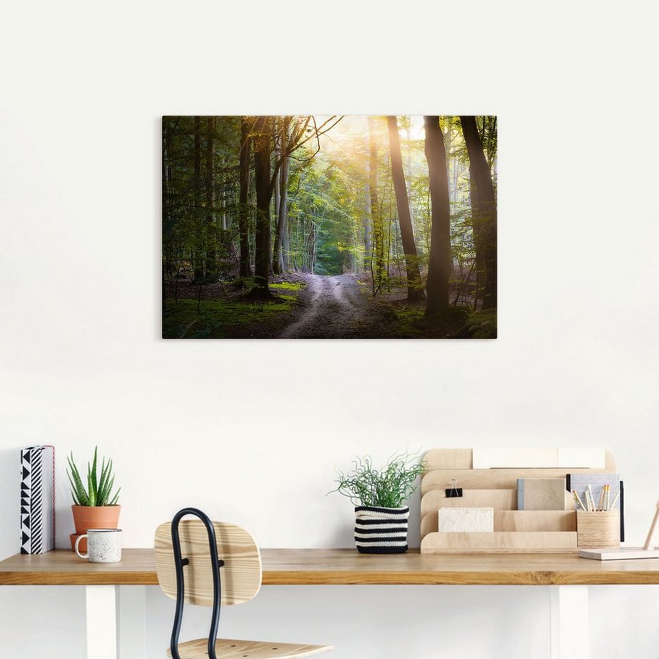Artland Wandbild Waldweg im Licht, Waldbilder (1 St), als Alubild,  Leinwandbild, Wandaufkleber oder Poster in versch. Größen