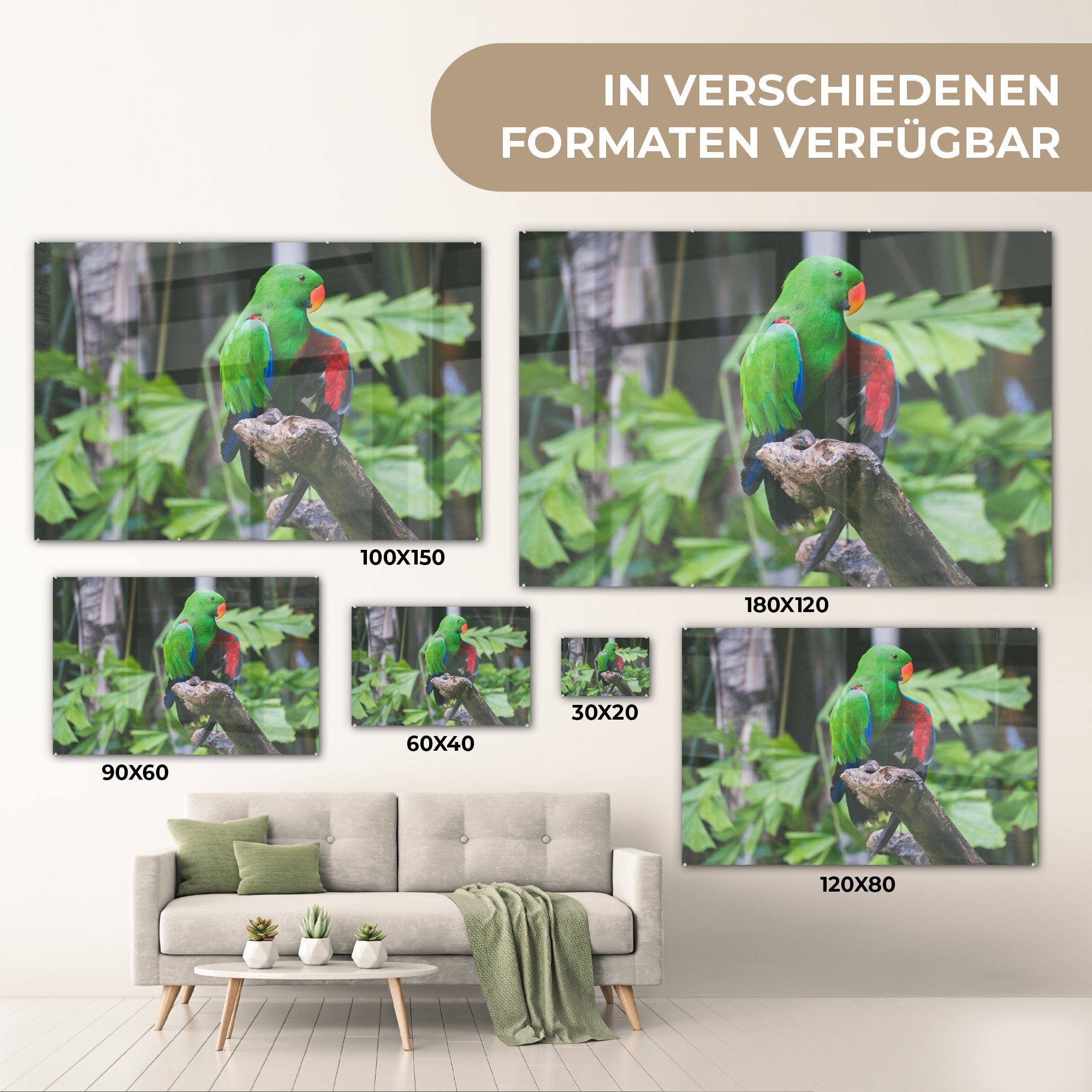 MuchoWow Acrylglasbild Vogel - Papagei Acrylglasbilder Grün, Wohnzimmer & - Schlafzimmer St), (1