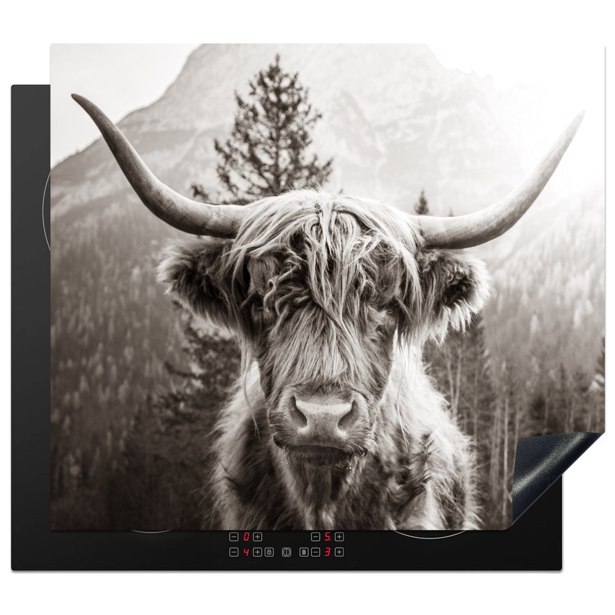 Induktionsmatte Vinyl, Highlander Herdblende-/Abdeckplatte 59x52 - Tiere Ceranfeldabdeckung Schwarz Weiß, küche, (1 - für MuchoWow tlg), Schottischer cm, die -