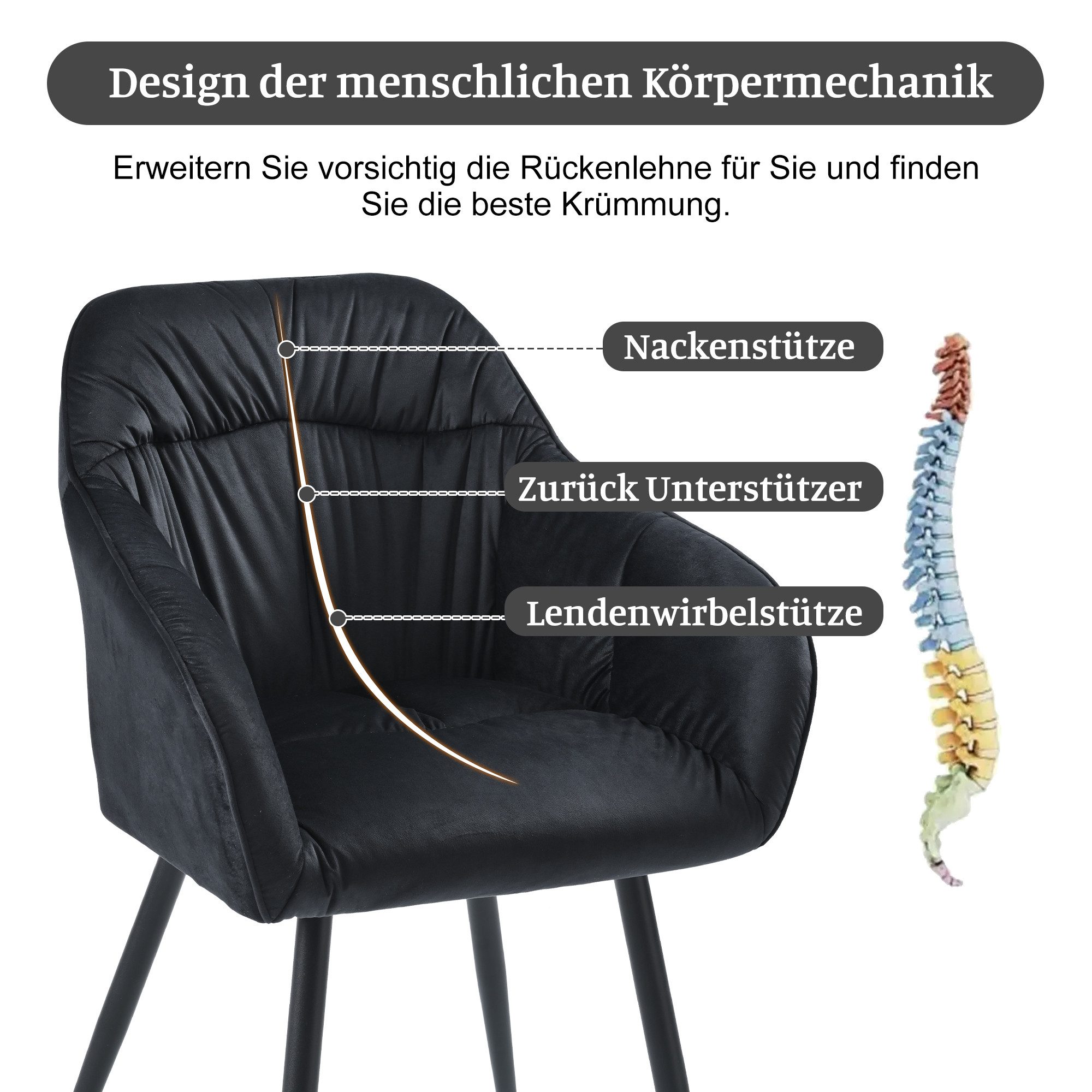 HAUSS SPOLE Esszimmerstuhl 6 St mit günstig online kaufen
