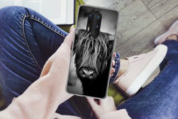 MuchoWow Handyhülle Schottischer Hochländer - Licht - Porträt - Natur, Phone Case, Handyhülle OnePlus 8 Pro, Silikon, Schutzhülle