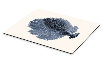 Posterlounge XXL-Wandbild Patruschka, Blaue Koralle, Fächer, Badezimmer Skandinavisch Illustration