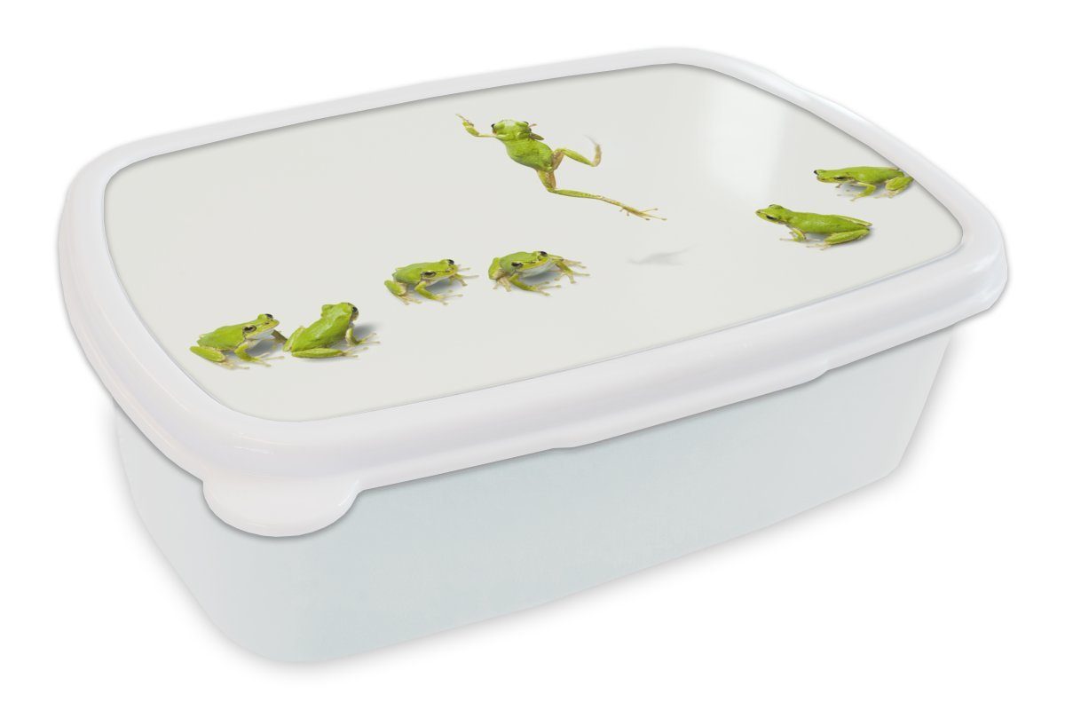 MuchoWow Lunchbox Frosch - Tiere - Grün, Kunststoff, (2-tlg), Brotbox für Kinder und Erwachsene, Brotdose, für Jungs und Mädchen weiß