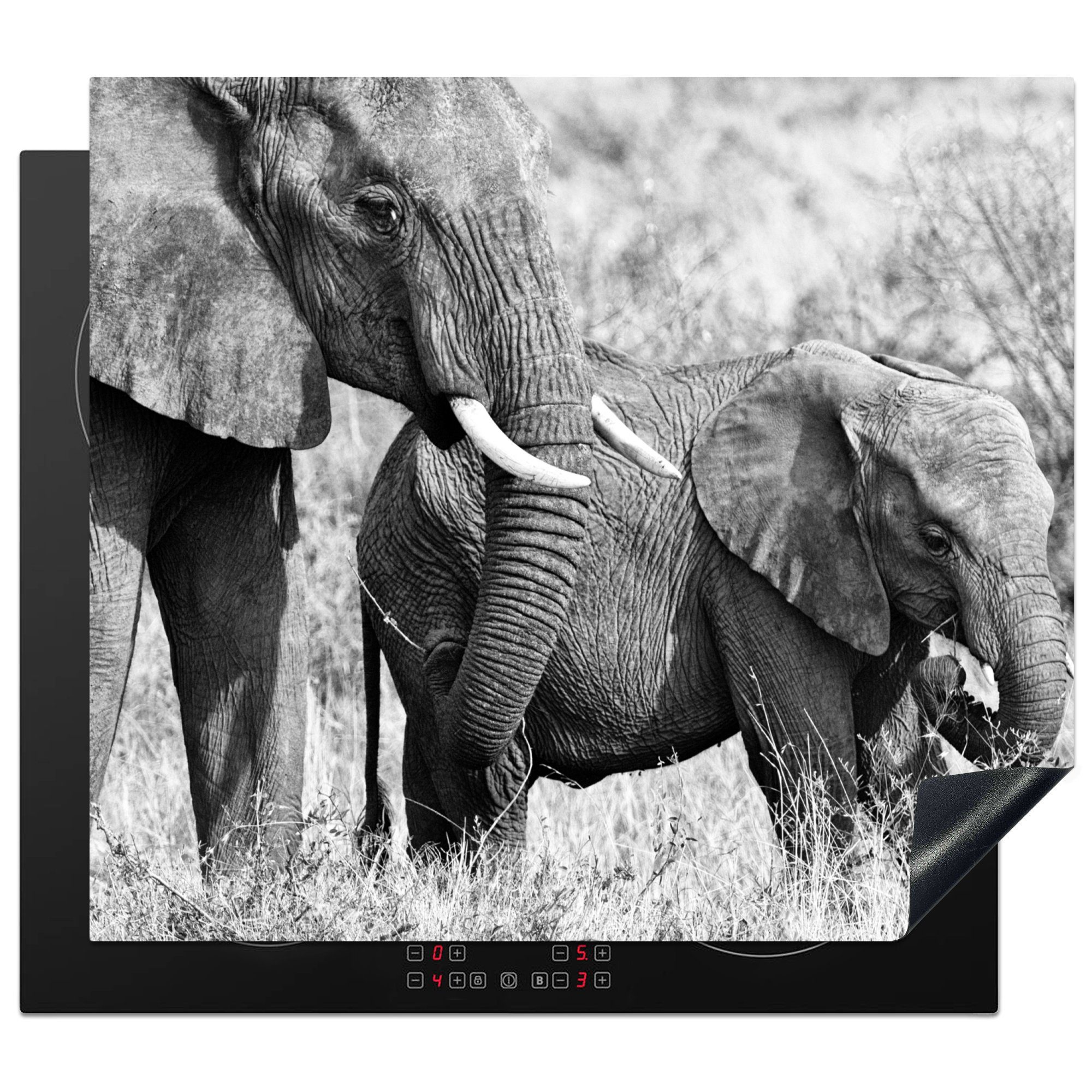 MuchoWow Herdblende-/Abdeckplatte Elefant - Tiere - Gras - Schwarz und weiß, Vinyl, (1 tlg), 59x52 cm, Ceranfeldabdeckung für die küche, Induktionsmatte