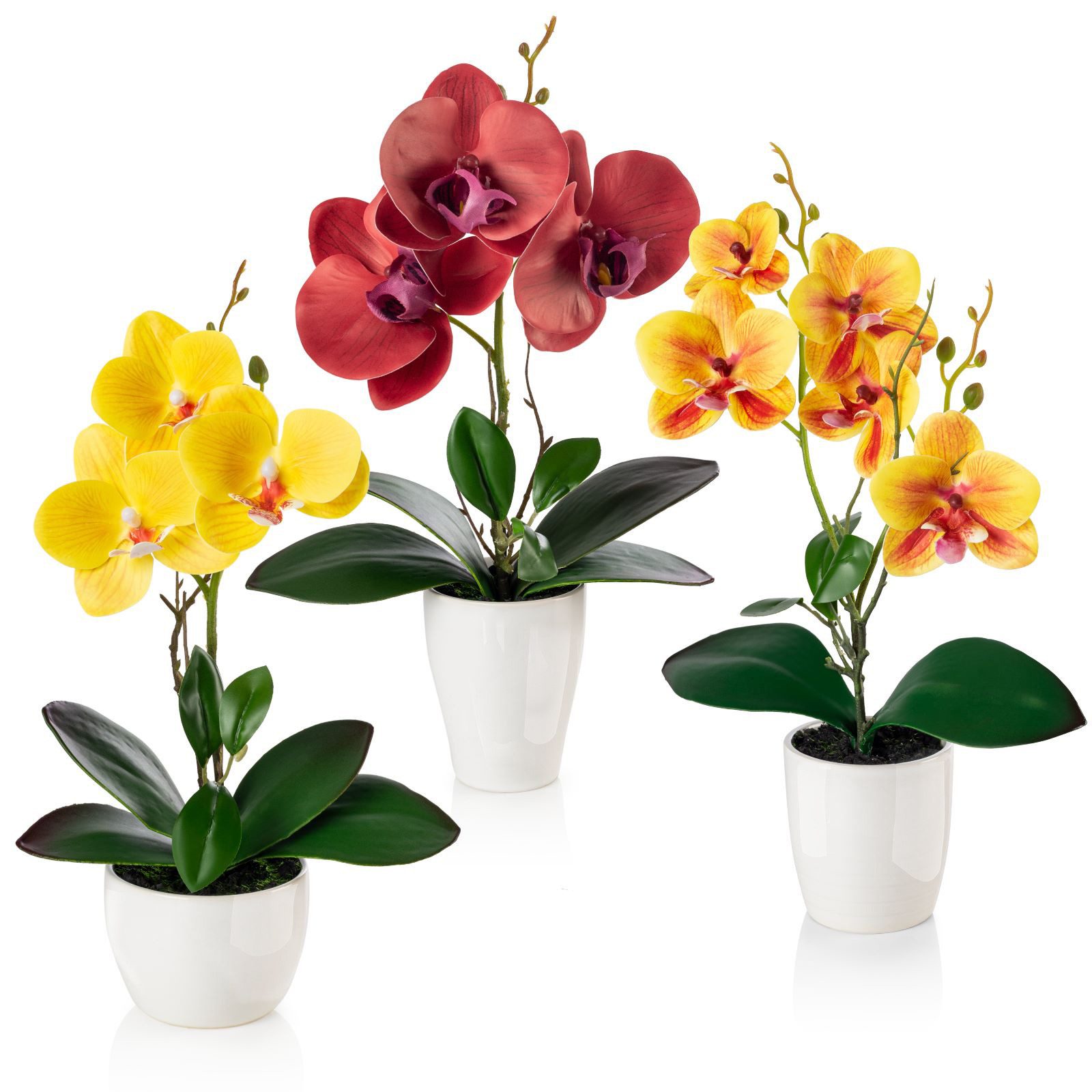 Kunstorchidee 3er Set künstliche Orchideen wie echt (35cm) in Hochglanz-Keramiktopf Orchidee, PASCH