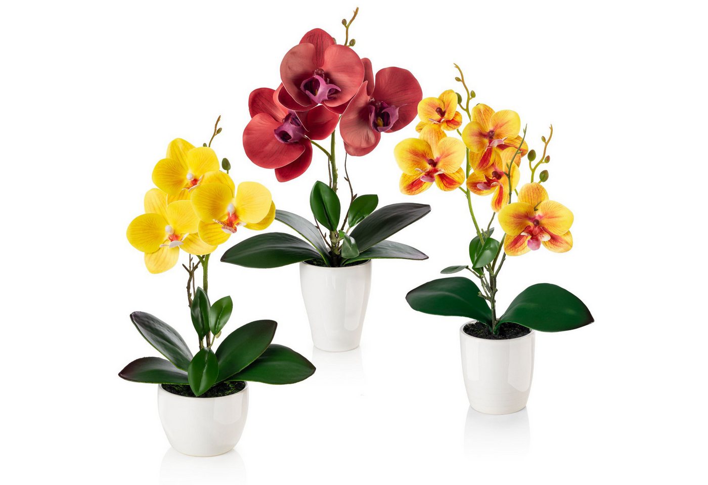 Kunstorchidee 3er Set künstliche Orchideen wie echt (35cm) in Hochglanz-Keramiktopf Orchidee, PASCH