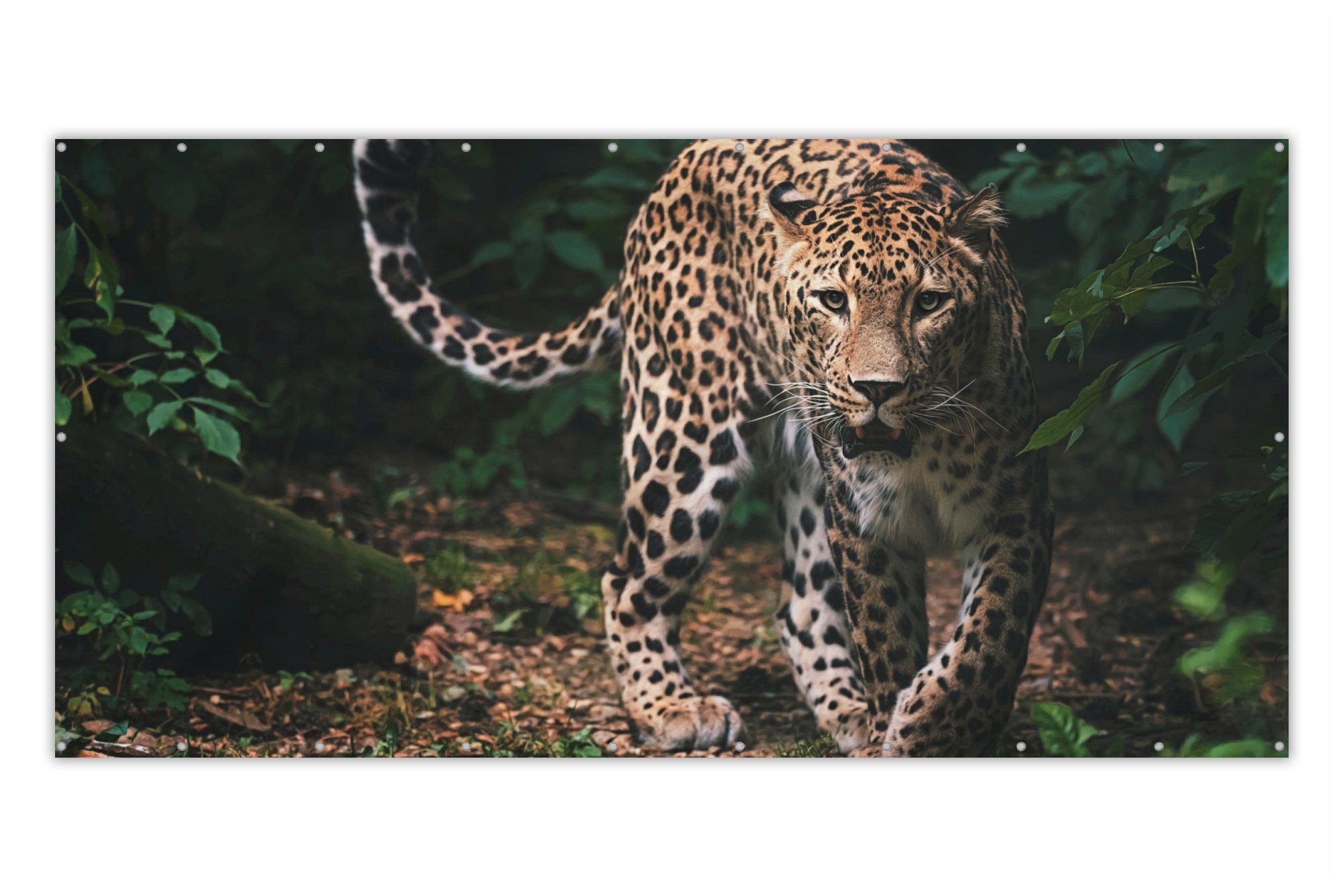 MuchoWow Balkonsichtschutz Wildtiere - Leopard - Dschungel - Natur (1-St) Balkonbespannung mit Metalösen, UV-beständig, Balkonbanner
