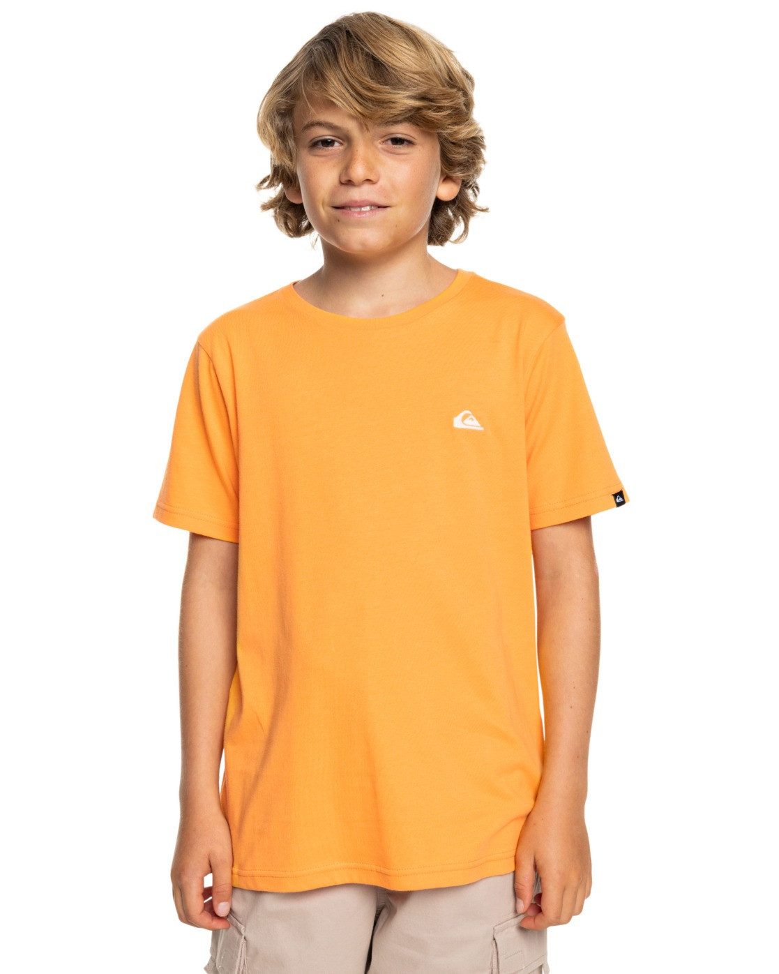 Quiksilver T-Shirt Basic