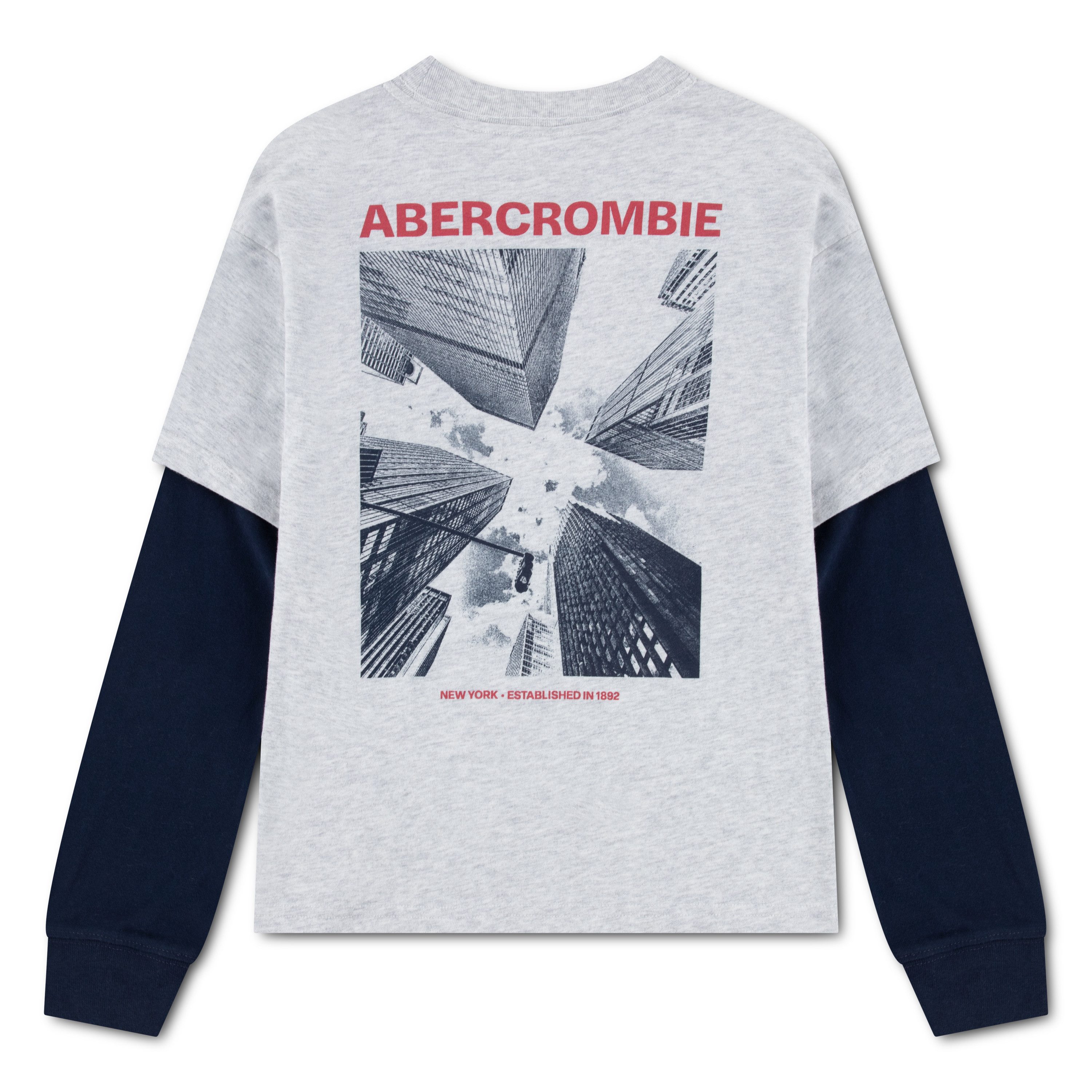 Abercrombie Kids Langarmshirt AFB GRAPHIC 2FER TEE Sweater / farblich abgesetzte Ärmel und Druck / für Boys – Bild 2 von 4
