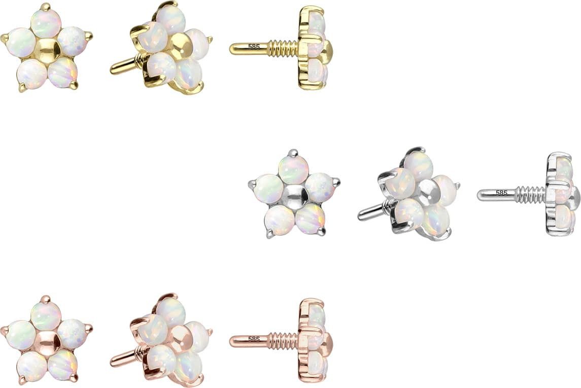 PIERCINGLINE Piercing-Set 14 Karat Gold Schraubaufsatz günstig online kaufen