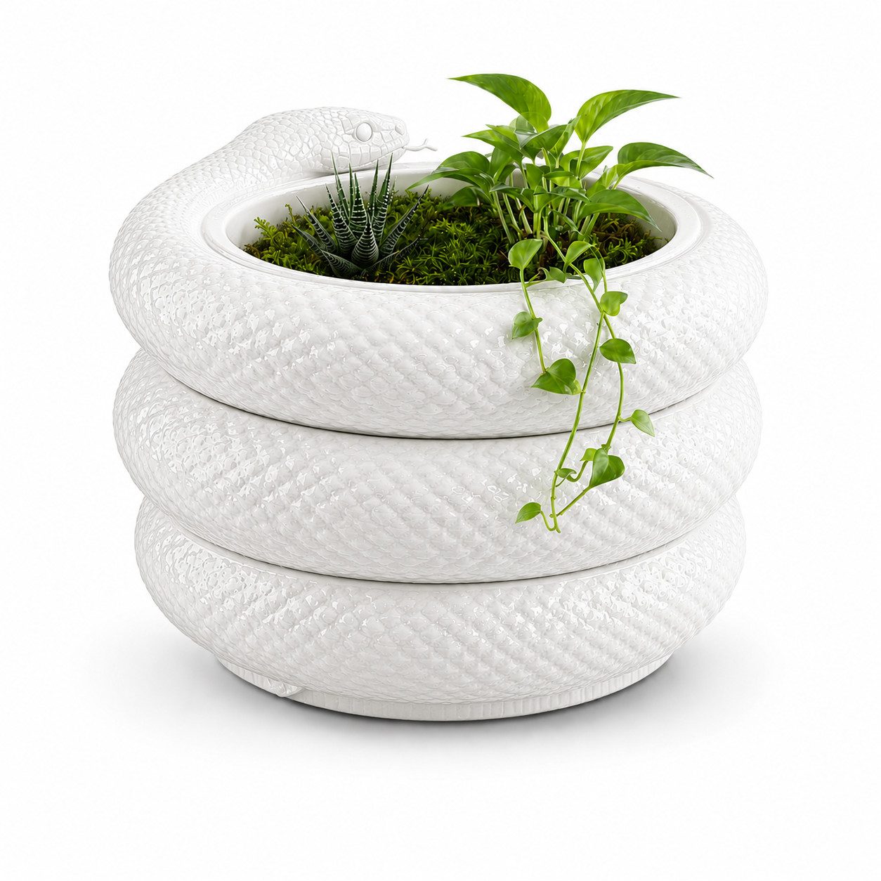 Alpha Electronics Dekovase Schlangen Vase Modern, Designer Pflanzgefäß in Schwarz & Weiß (Sparangebot, 1 St., hochwertiger 3D Druck), Moderne Wohnzimmer Deko M & XL