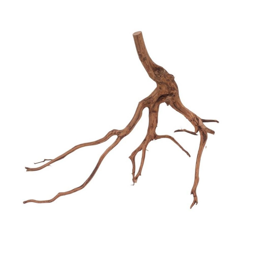 Aquaone Aquarium M Red Spider Wurzel Nr.6014 Fingerwurzel Echtholz Deko ...