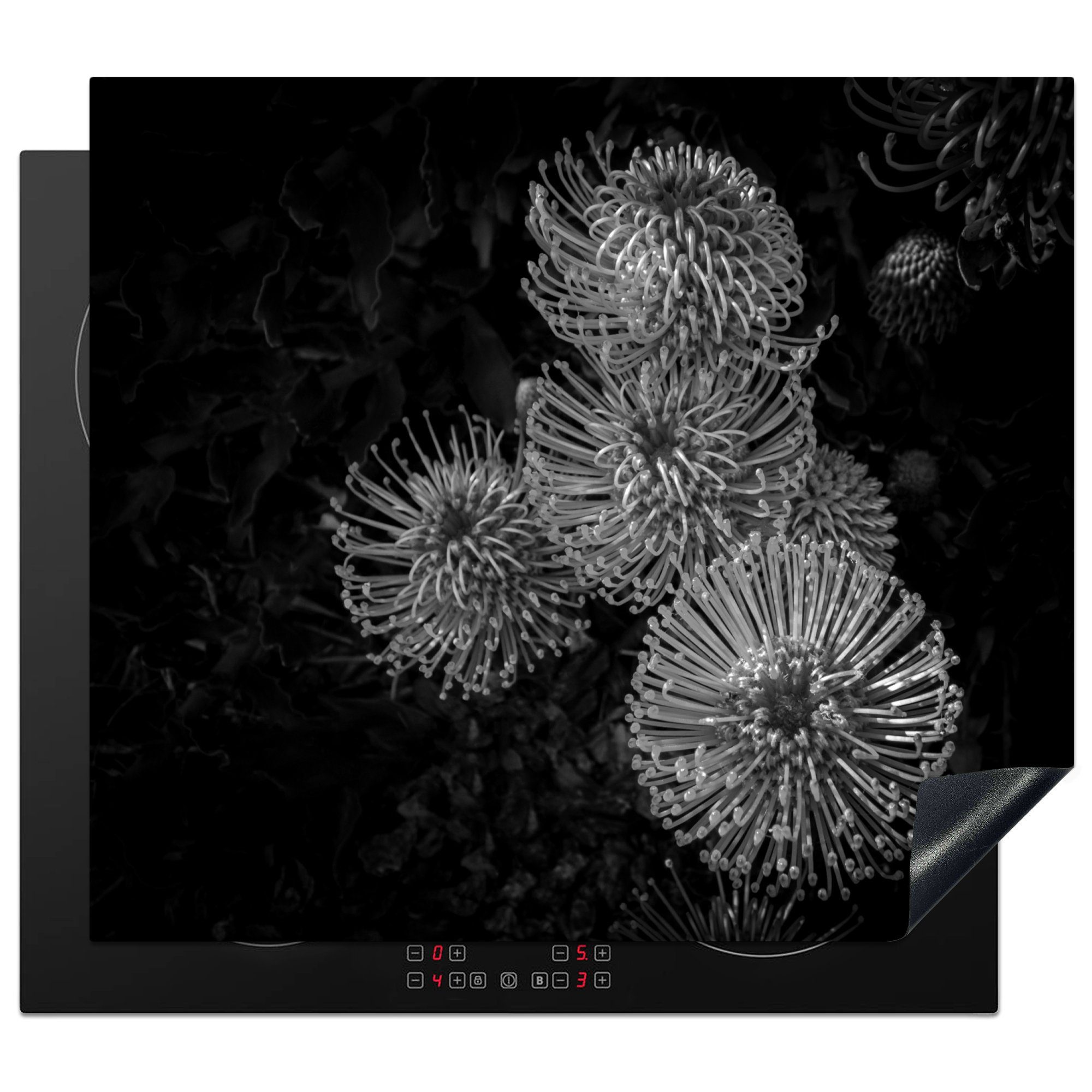 MuchoWow Herdblende-/Abdeckplatte Nutanblumen - schwarz und weiß, Vinyl, (1 tlg), 60x52 cm, Mobile Arbeitsfläche nutzbar, Ceranfeldabdeckung