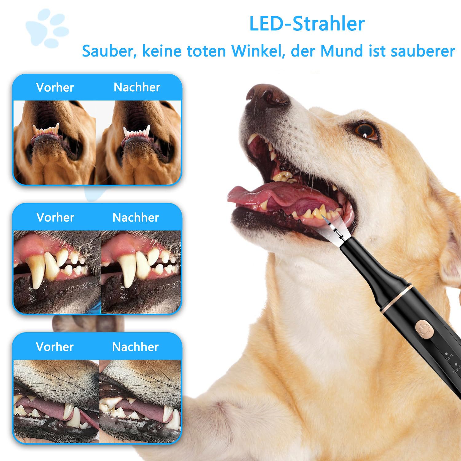 Coonoor Zahnpflege-Set Zahnreiniger Ultraschall für Hund und Katze, Zahnpflege Set, Zahnreiniger für Haustiere, 5 Reinigungsmodi