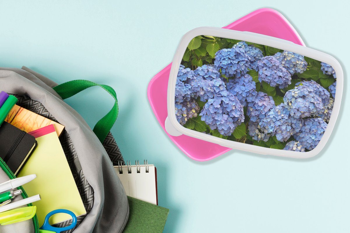 MuchoWow Brotbox Kunststoff aus Blumenstrauß (2-tlg), Lunchbox Erwachsene, für Mädchen, Kinder, Snackbox, Kunststoff, Brotdose rosa Hortensien,
