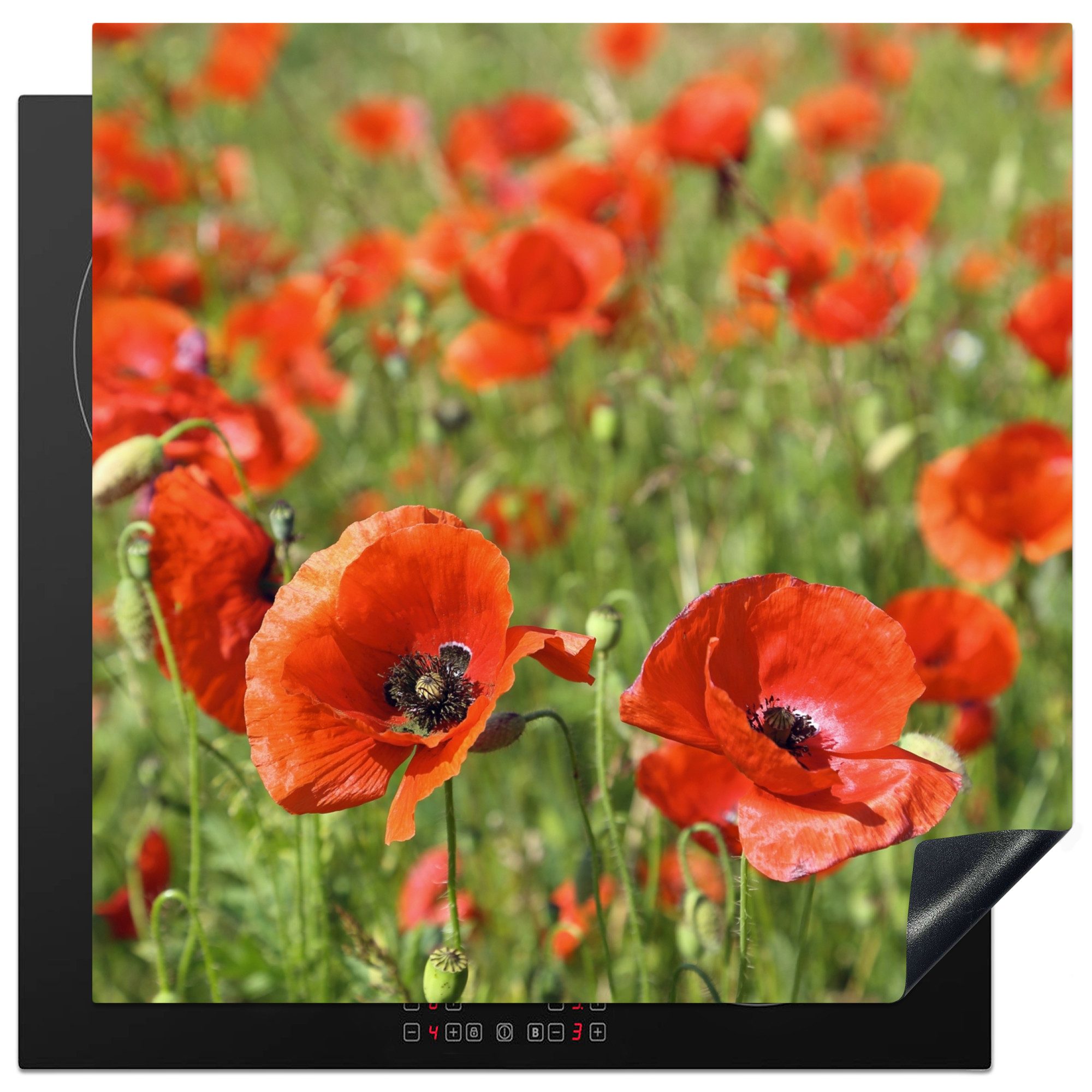 MuchoWow Herd-Abdeckplatte Blumen - Mohnblumen - Rot - Grün, Vinyl, (1 tlg), Küche Herdabdeckung Ceranfeld Induktionsfeld Vinyl, 60x60 cm