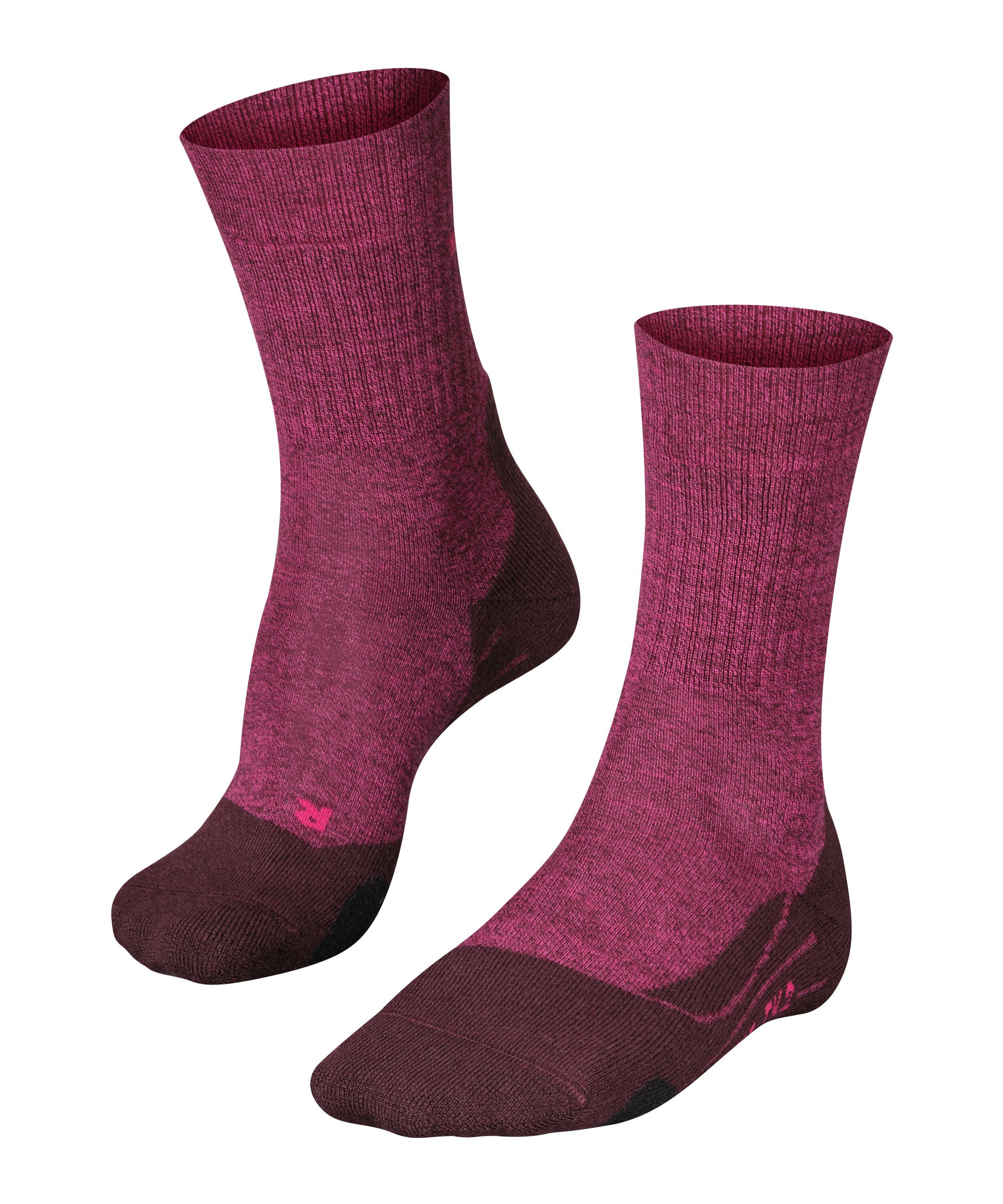 FALKE Wandersocken TK2 Explore Wool (1-Paar) hoher Komfort im Mittelgebirge burgundy (8593)