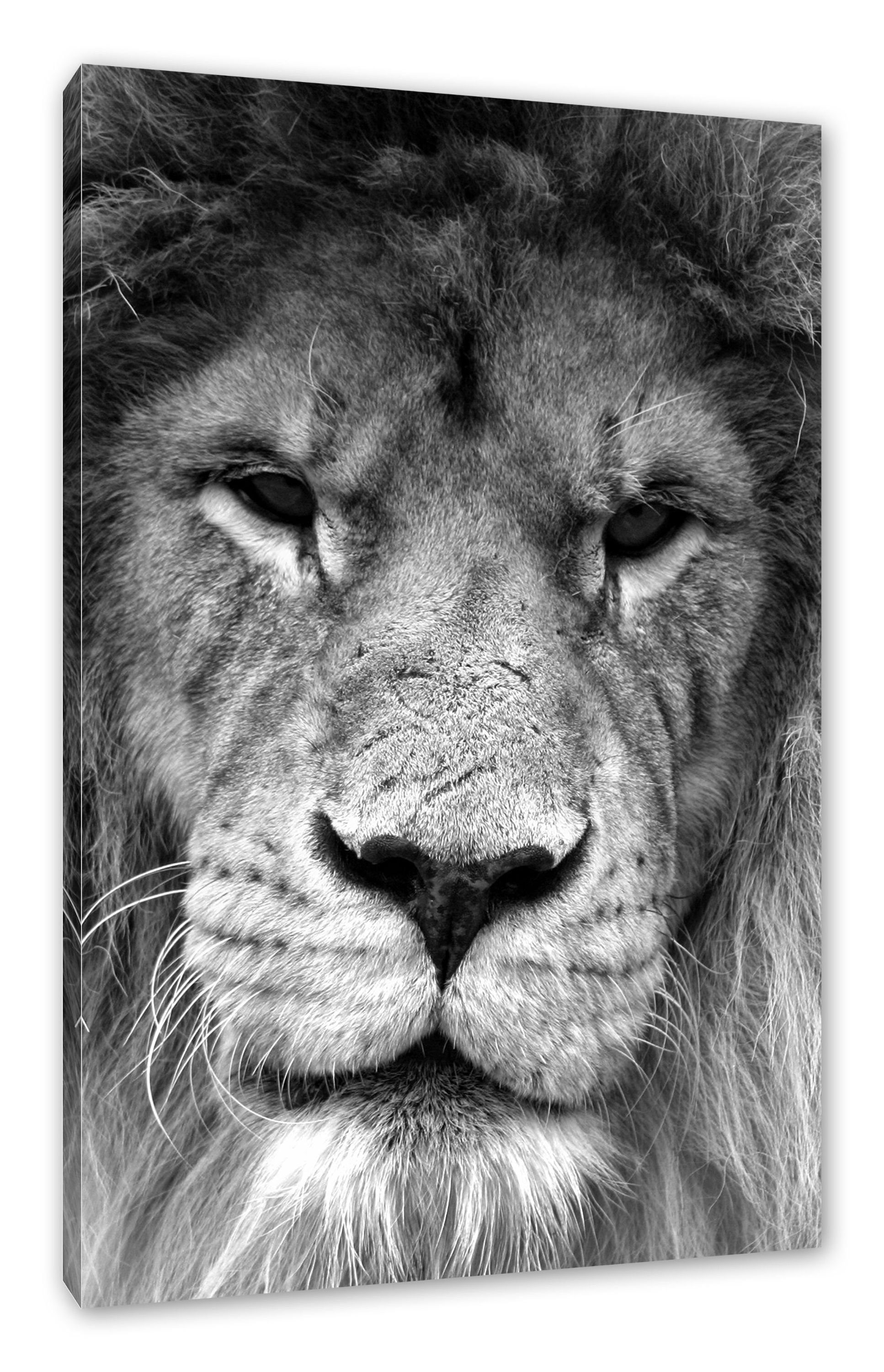 Pixxprint Leinwandbild Kampfvernarbten Kunst B&W, Kampfvernarbten Kunst B&W (1 St), Leinwandbild fertig bespannt, inkl. Zackenaufhänger