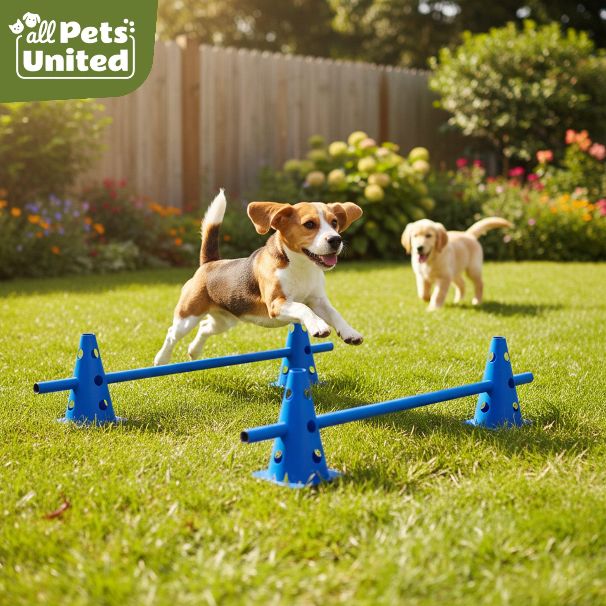 all Pets United Trainingshilfe All Pets United Trainingsset Hund & Kinder, Hunde Sport & Lernhilfe