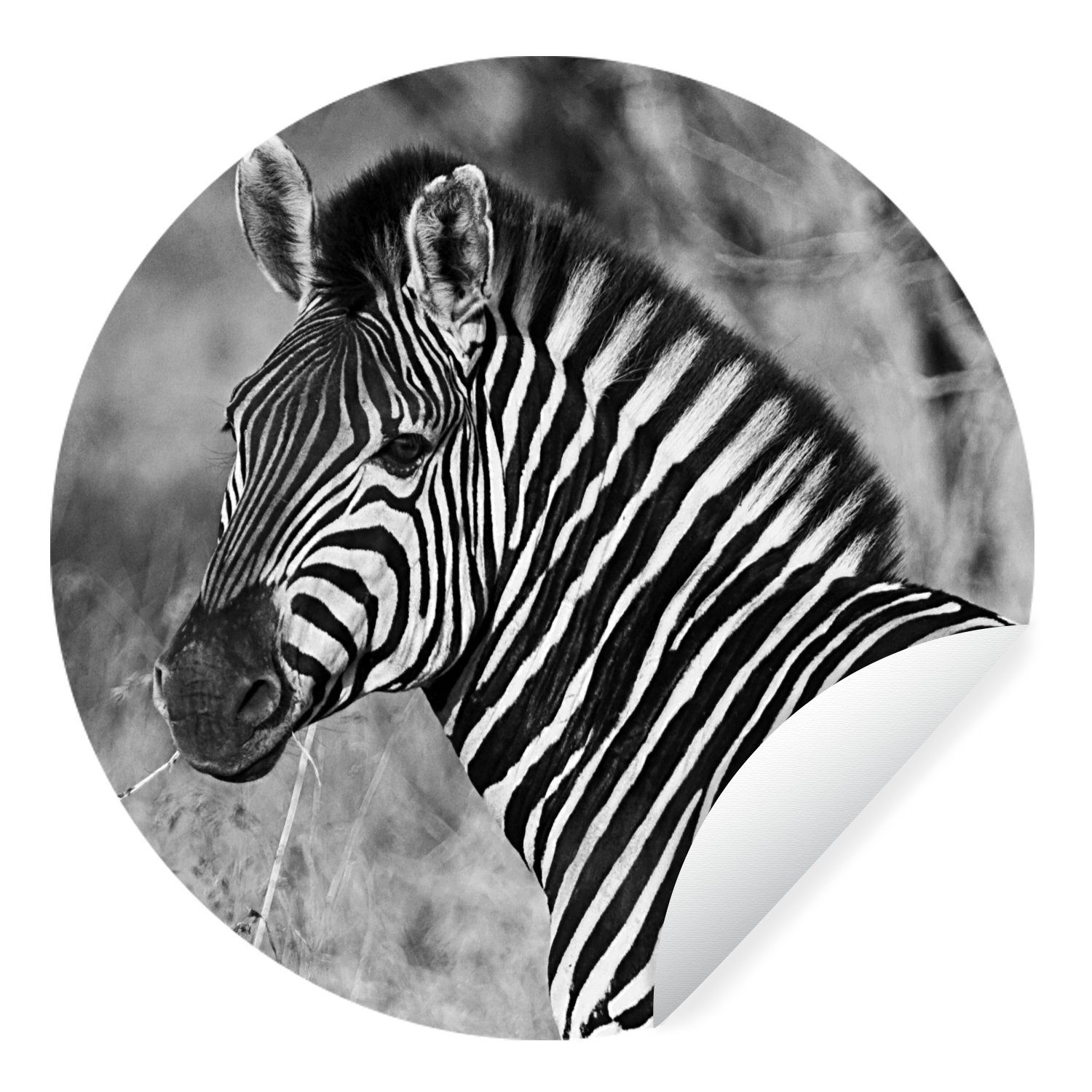 MuchoWow Wandsticker Zebra-Porträt (1 St), Tapetenkreis für Kinderzimmer, Tapetenaufkleber, Rund, Wohnzimmer