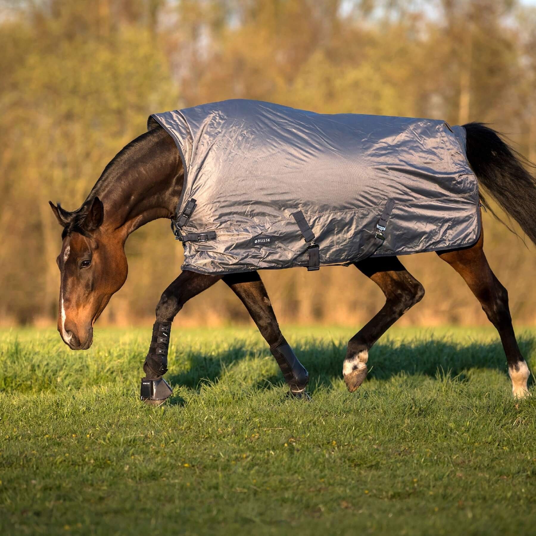 BUSSE Paddockdecke BUSSE Outdoordecke RAIN-DEAR 100, mit 100g Wärmeisolierung