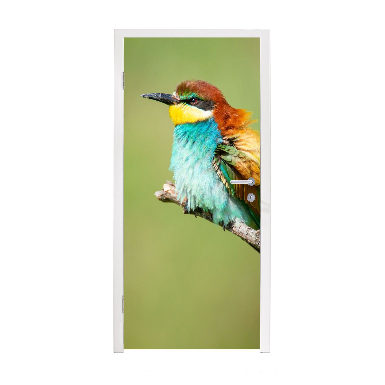 MuchoWow Türtapete Vogel - Tiere - Bienenfresser, Matt, bedruckt, (1 St), Fototapete für Tür, Türaufkleber, 75x205 cm
