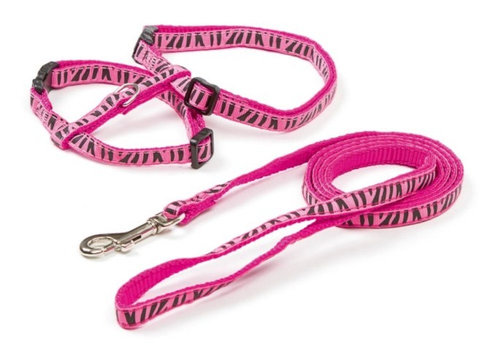 Kerbl Geschirr Katzengeschirr mit Leine pink / schwarz 82668