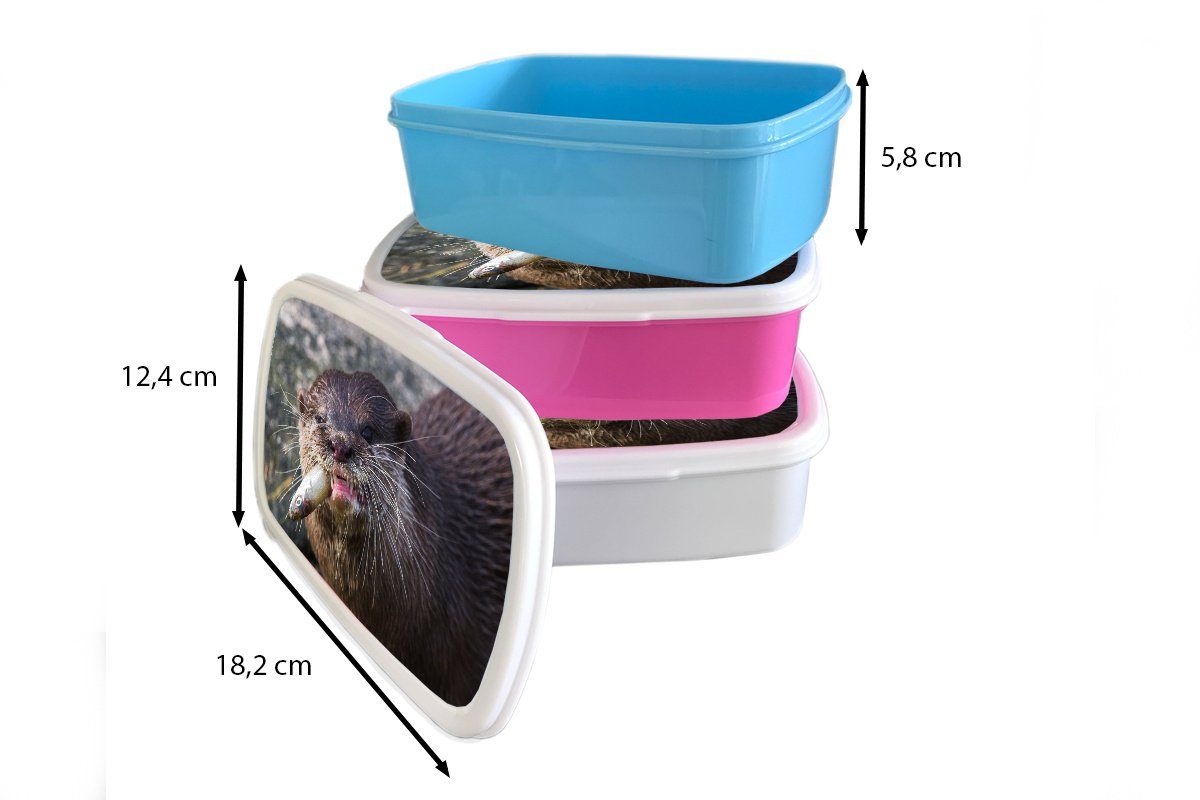 MuchoWow Lunchbox Otter frisst (2-tlg), Mädchen, Erwachsene, Brotbox Brotdose Kunststoff rosa Kinder, Snackbox, Kunststoff, Fisch, für