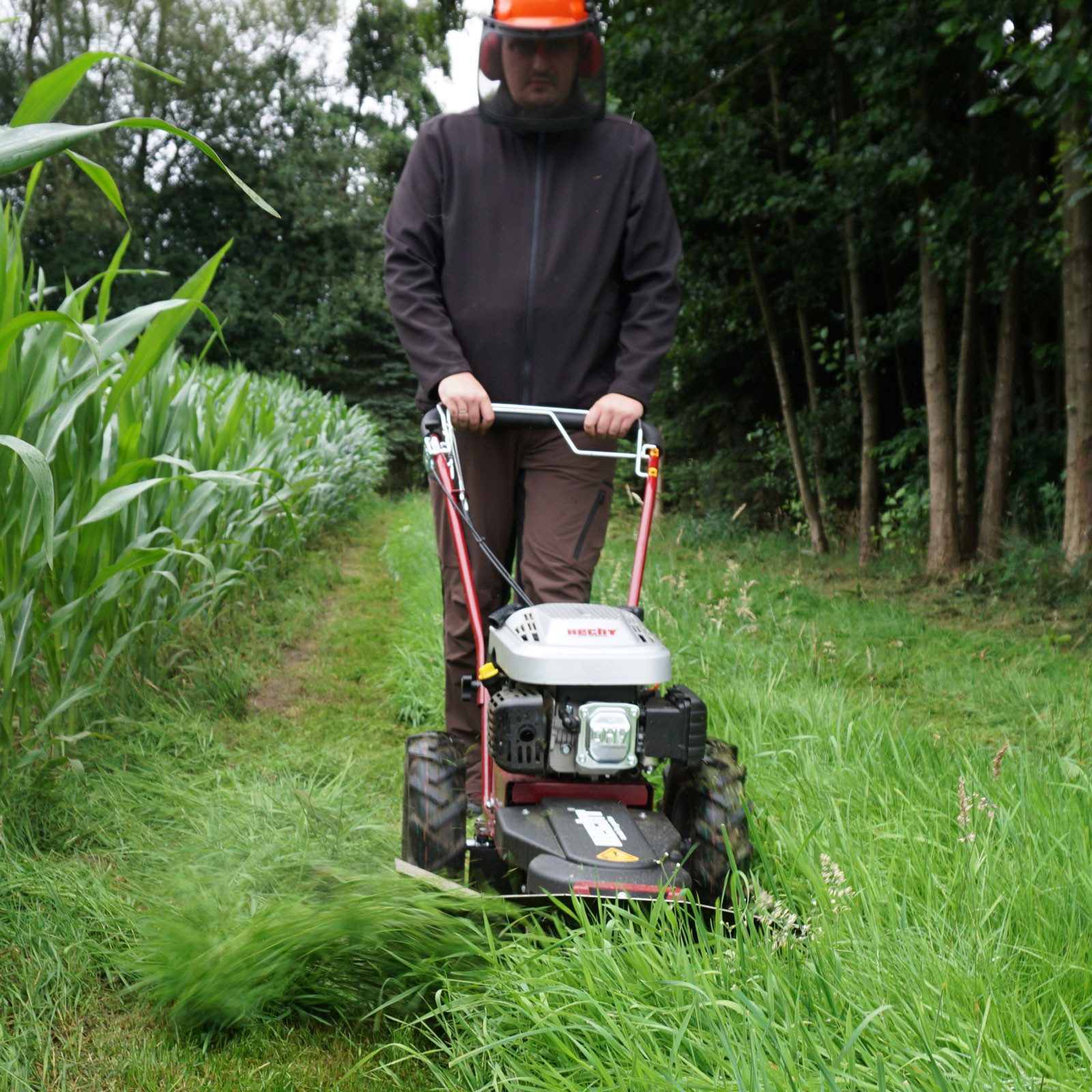 Hecht Hochgrasmäher Kreiselmäher 5060 mit Radantrieb 173 cm³, 60 cm Schnittbreite, 3400 U/min, 3km/h, höhenverstellbarer Lenkholm – Bild 4 von 5
