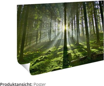 Artland Wandbild Bunte Mohnblumen I, Blumenbilder (1 St), als Alubild, Outdoorbild, Leinwandbild, Poster, Wandaufkleber