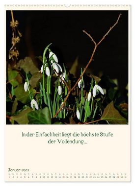 CALVENDO Wandkalender Mit Blumen durchs Jahr (Premium, hochwertiger DIN A2 Wandkalender 2023, Kunstdruck in Hochglanz)