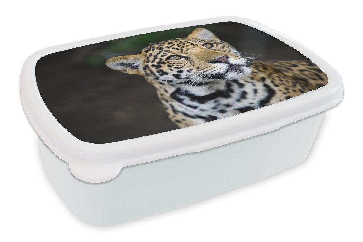 MuchoWow Lunchbox Leopard - Kopf - Wald, Kunststoff, (2-tlg), Brotbox für Kinder und Erwachsene, Brotdose, für Jungs und Mädchen weiß