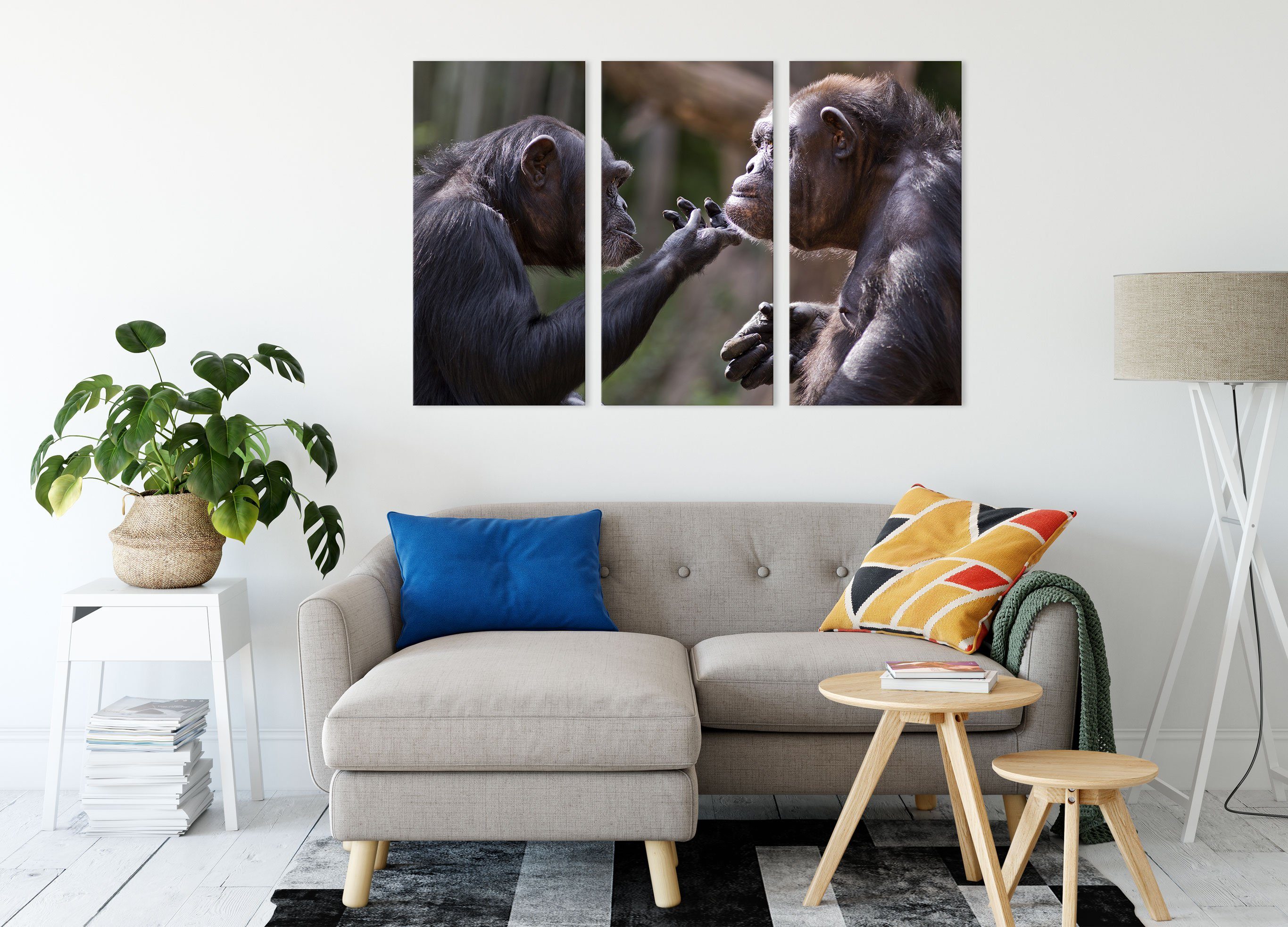 Schimpansen 3Teiler bespannt, inkl. Zackenaufhänger (120x80cm) Leinwandbild Freundschaft St), Schimpansen Leinwandbild (1 fertig Freundschaft, Pixxprint