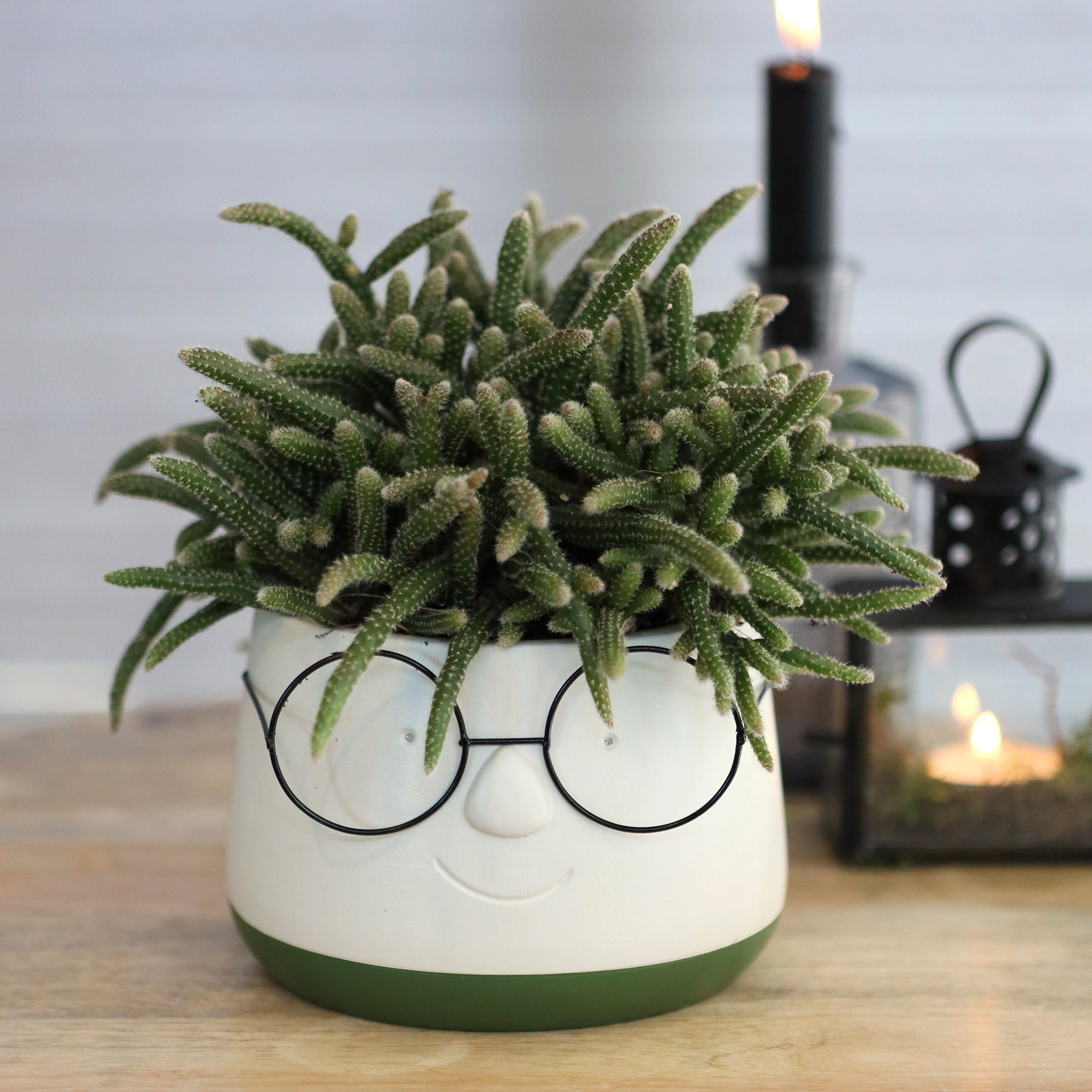 Annastore Übertopf Blumenübertöpfe in witzigem Design günstig online kaufen