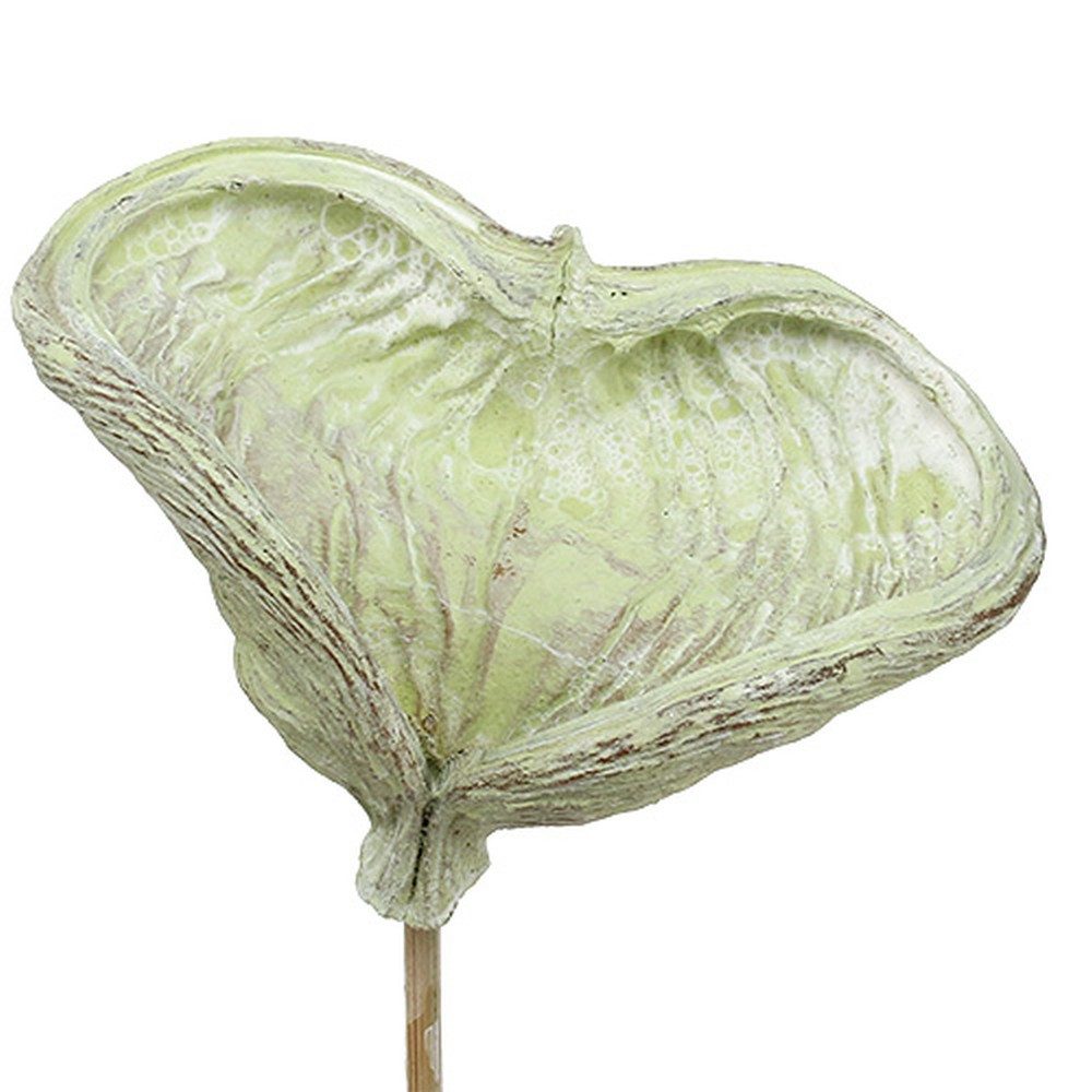 Trockenblume Badam am Stiel Naturdeko Grün günstig online kaufen