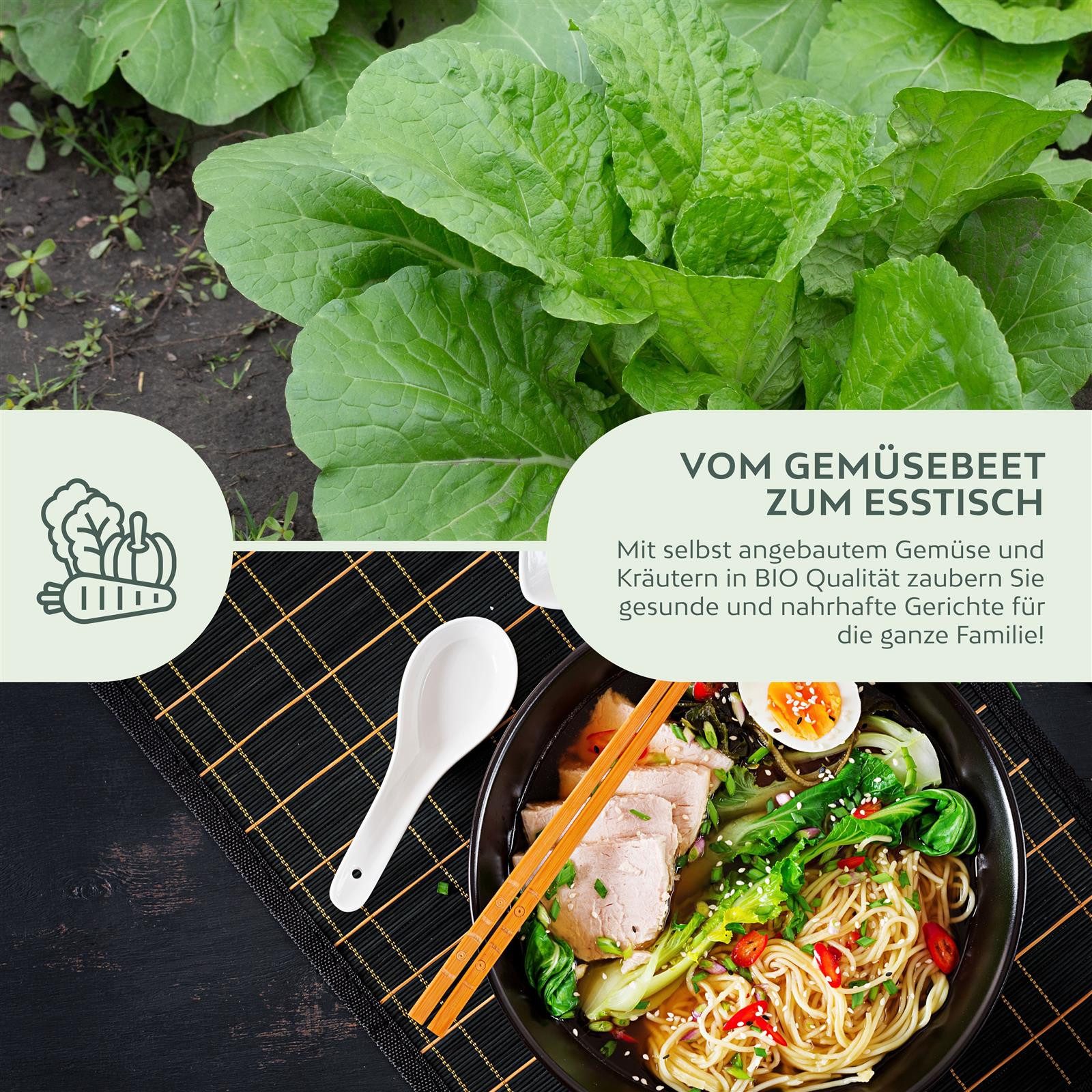 Growgreens Gemüsesamen BIO Chinesischer Senfkohl Samen (Pak Choi) -Pak Choi Saatgut 150 Korn, Gemüse