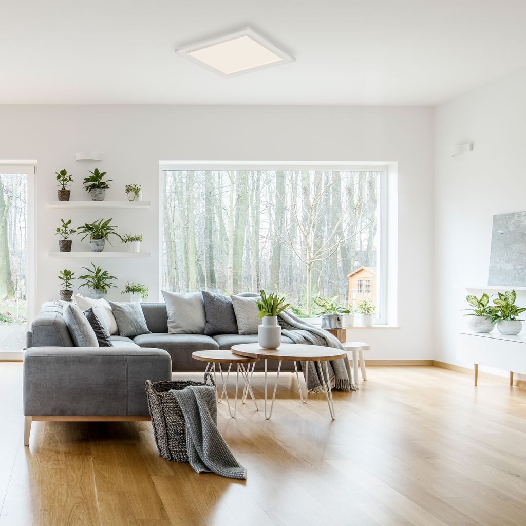 Briloner Leuchten LED Deckenleuchte 7187-016, Leuchtdauer einstellbar, LED fest integriert, 2700K - Extra-Warmweiß, Bewegungssensor, Tageslichtsensor, weiß, LED, 4000K