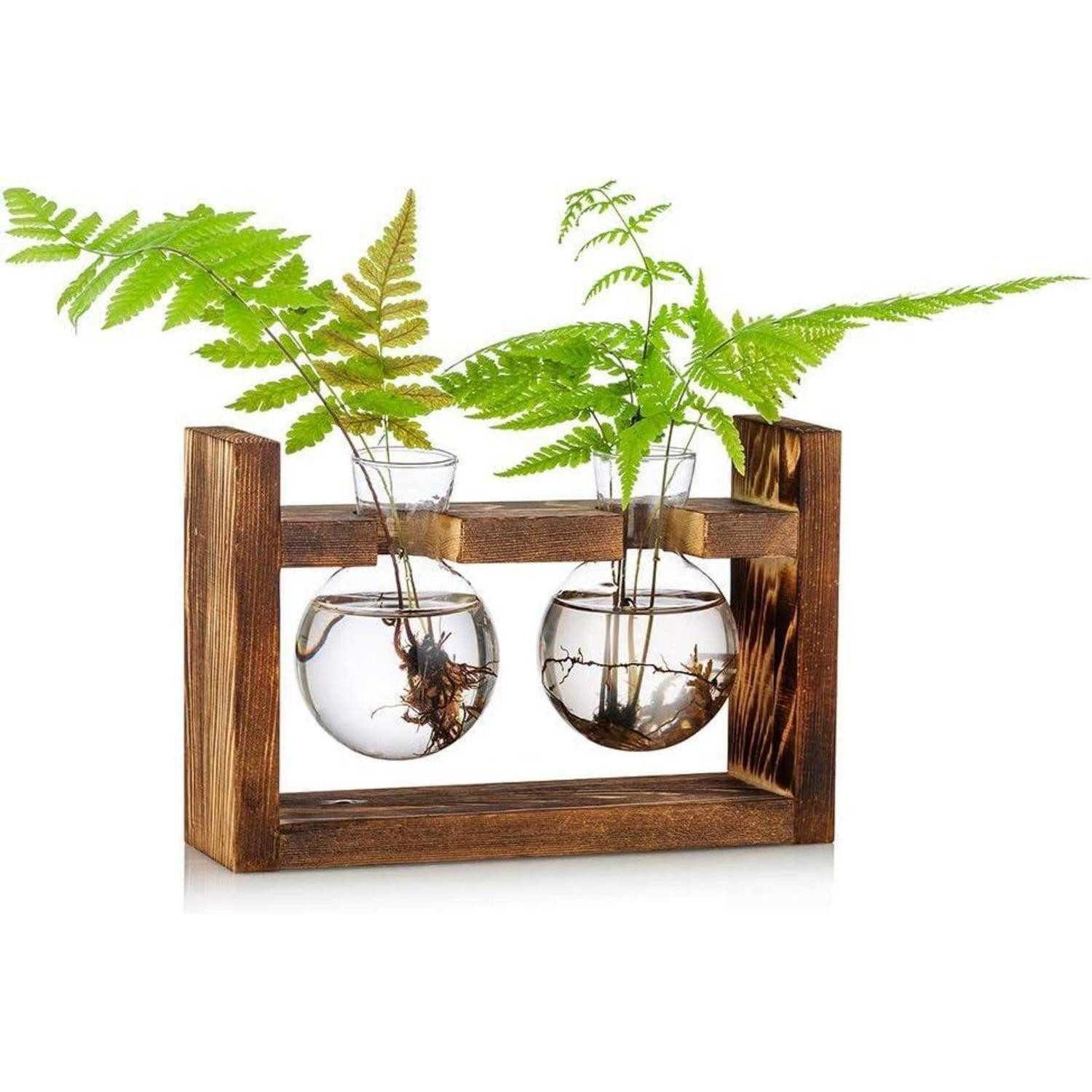 LuxusKollektion Tischvase Vermehrungsstation Set Avocado Glasvase Holzregal für Pflanzen Eco (2 St)